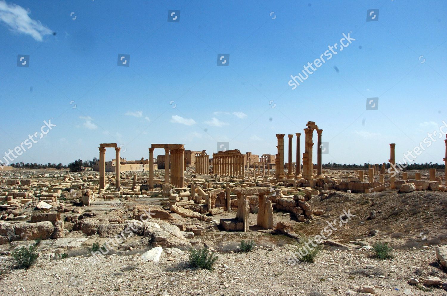 Archeological Site Ancient City Palmyra Which Editorial Stock Photo ...