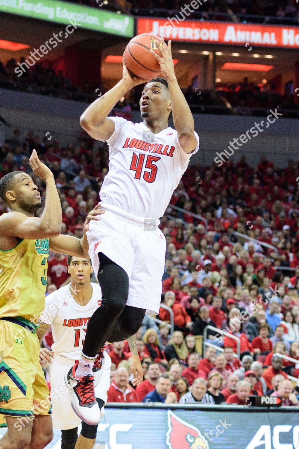 donovan mitchell dame 4