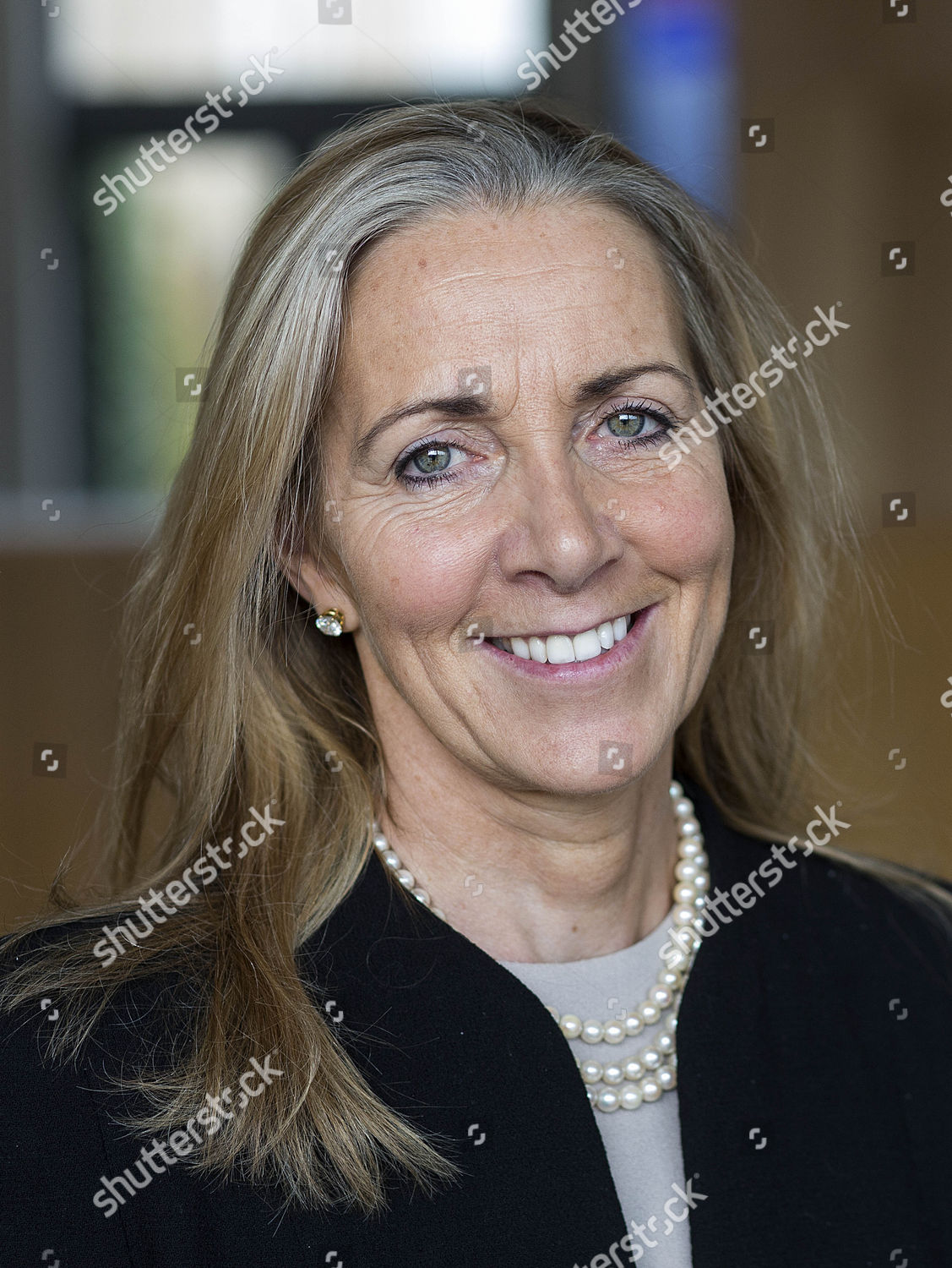 Rona Fairhead Chair Bbc Trust Editorial Stock Photo - Stock Image ...