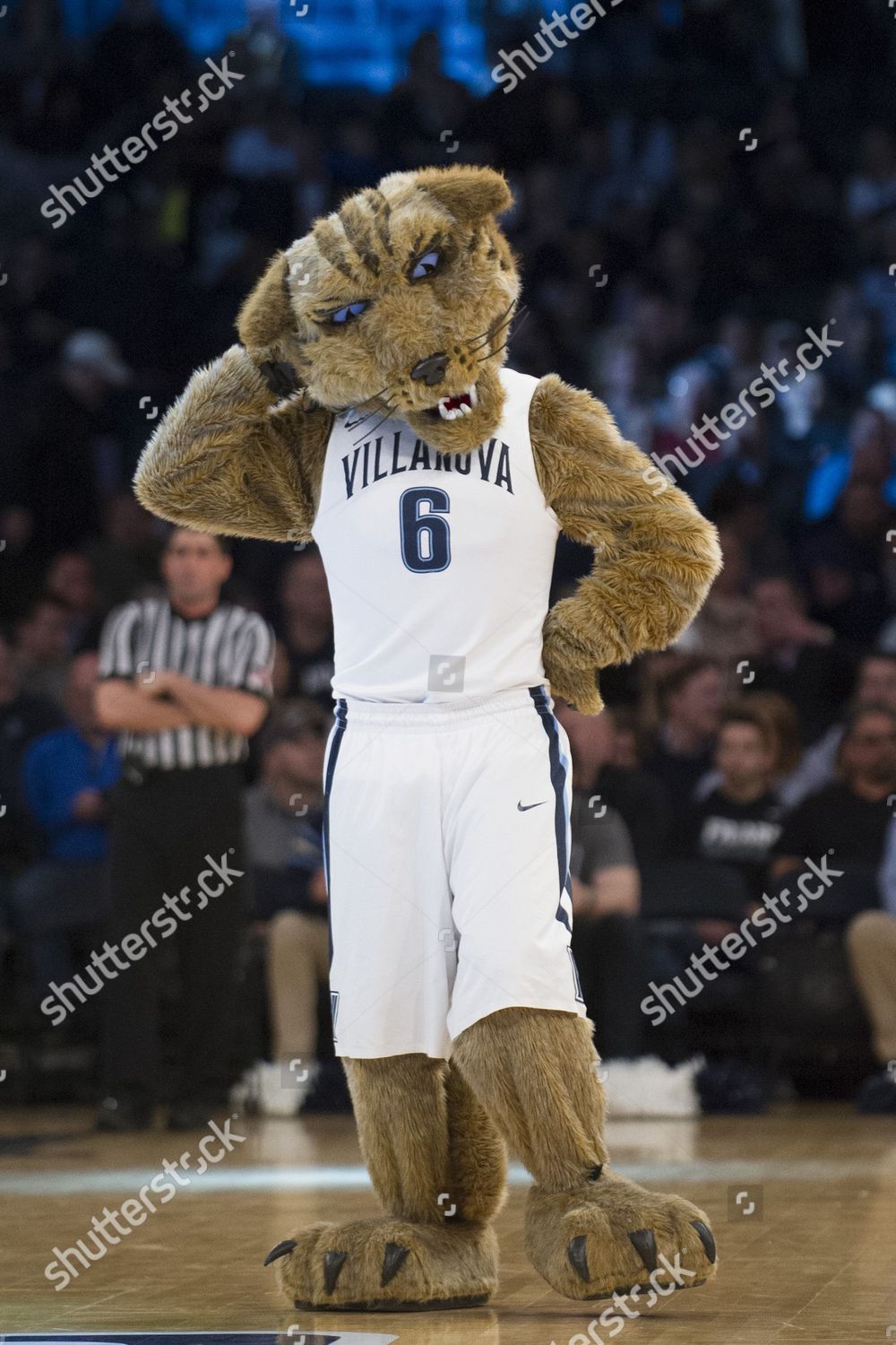 Villanova Wildcats Mascot Scotches Head 35th Editorial Stock Photo ...