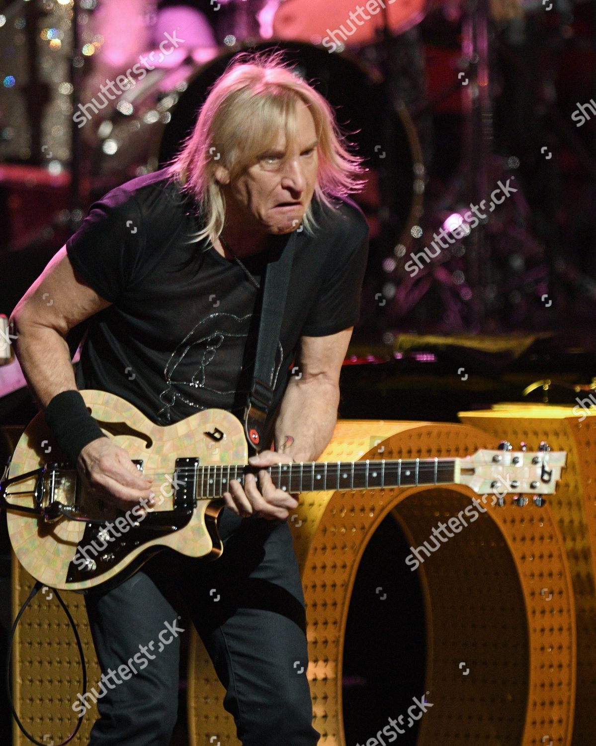 Joe Walsh Editorial Stock Photo - Stock Image | Shutterstock