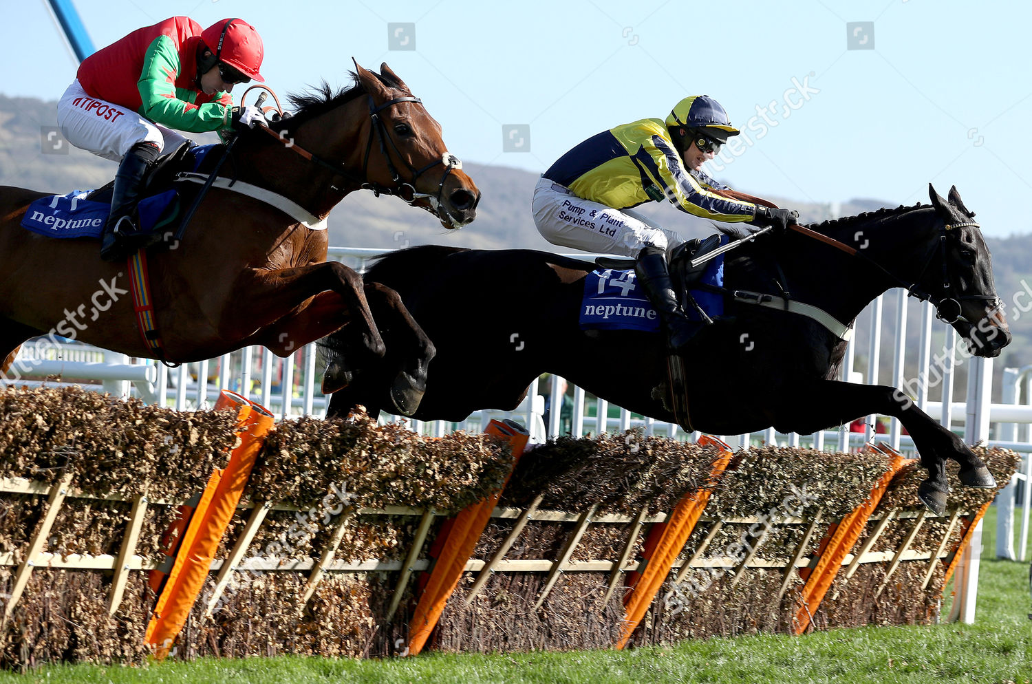 Neptune Investment Management Novices Hurdle Willoughby Editorial Stock