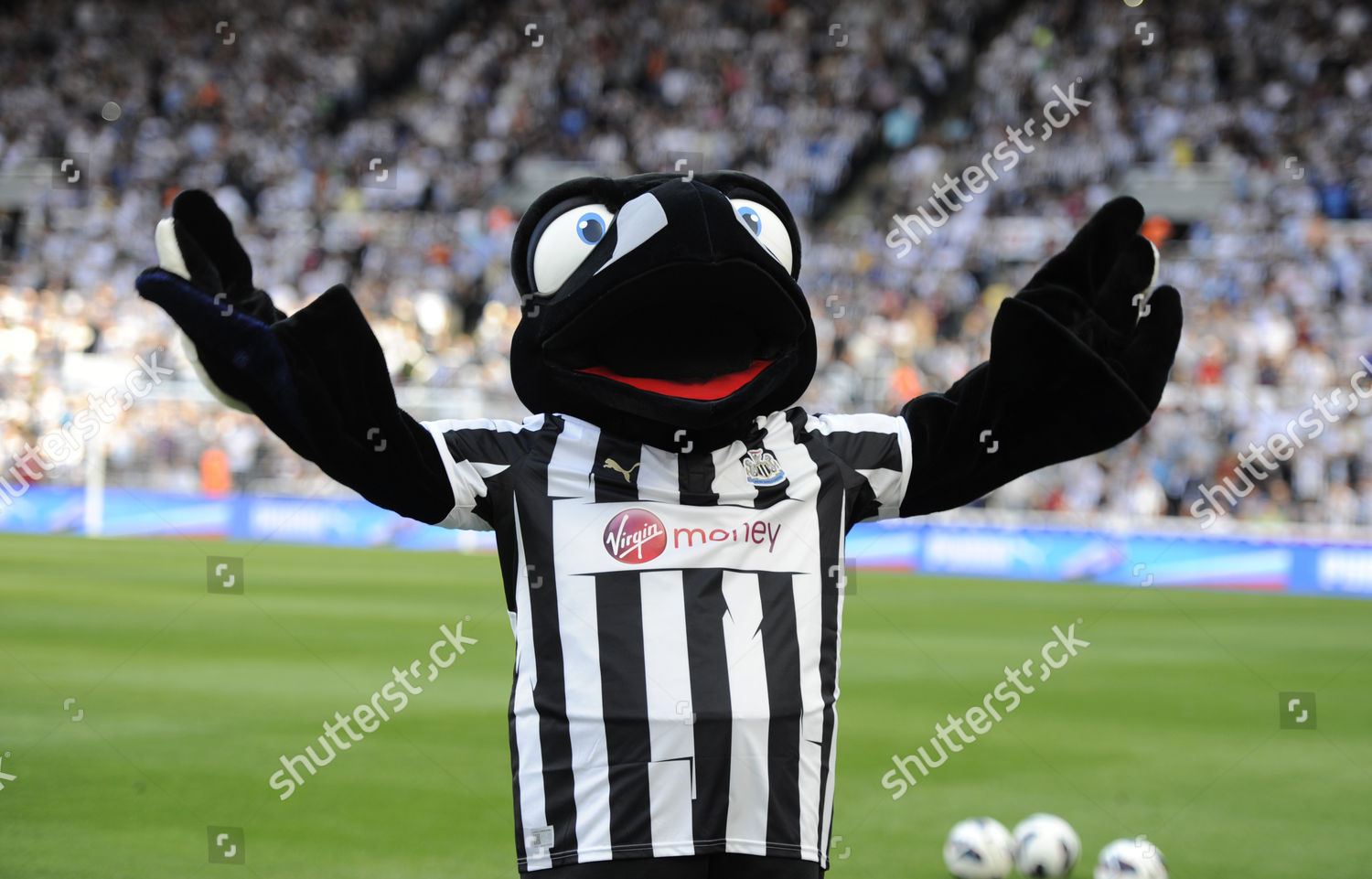 Newcastle Mascot Monty Magpie United Kingdom Editorial Stock Photo