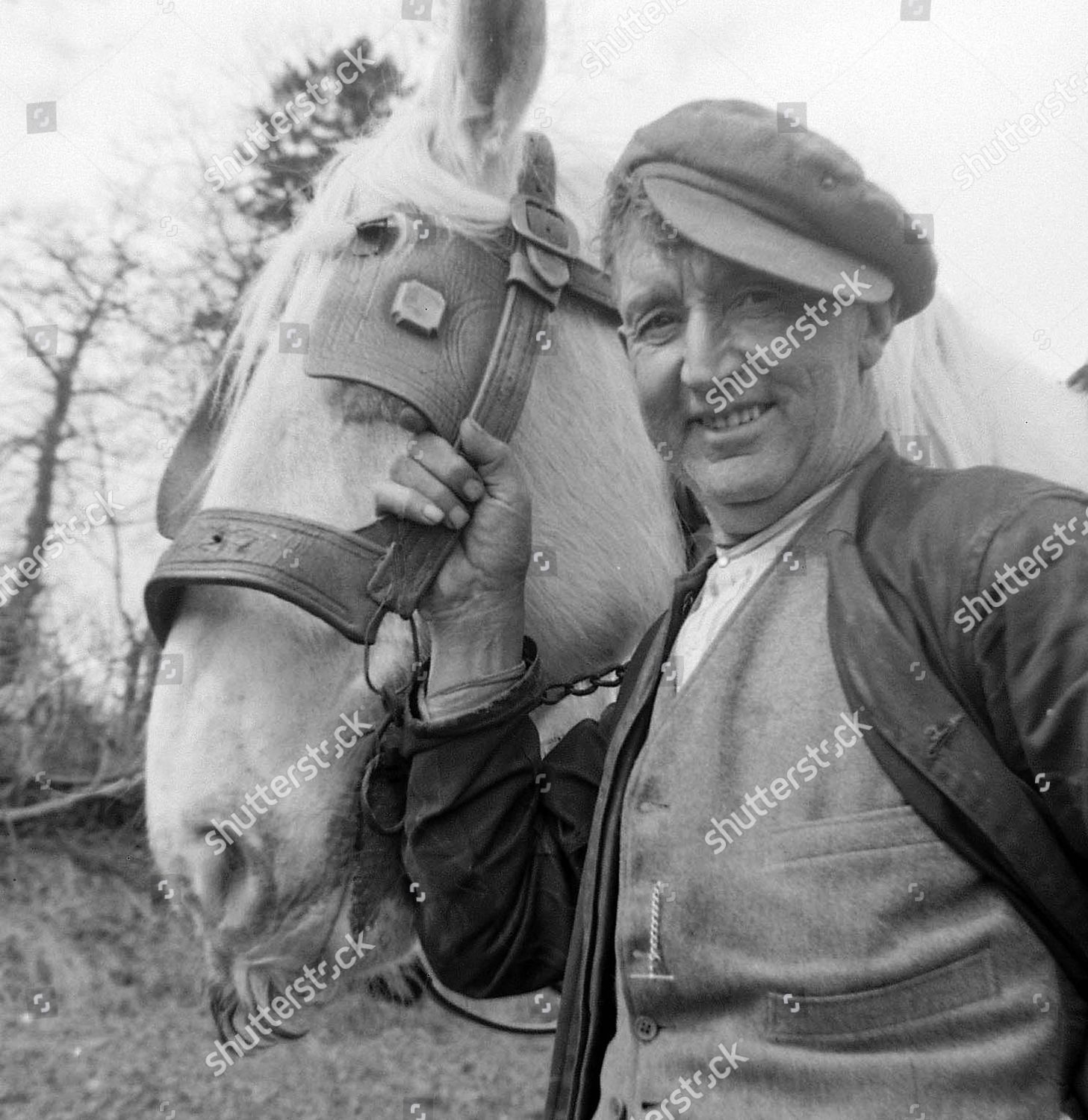 Farmer Ellis Edwards Ledwarian Farm Bala Editorial Stock Photo - Stock ...