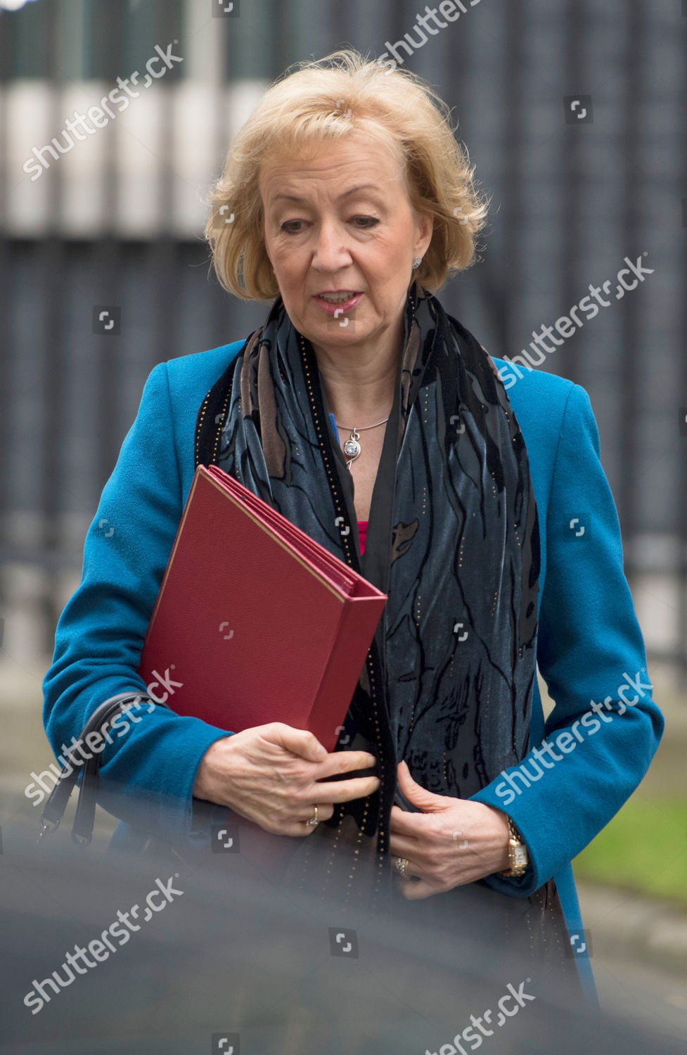 Andrea Leadsom Editorial Stock Photo - Stock Image 