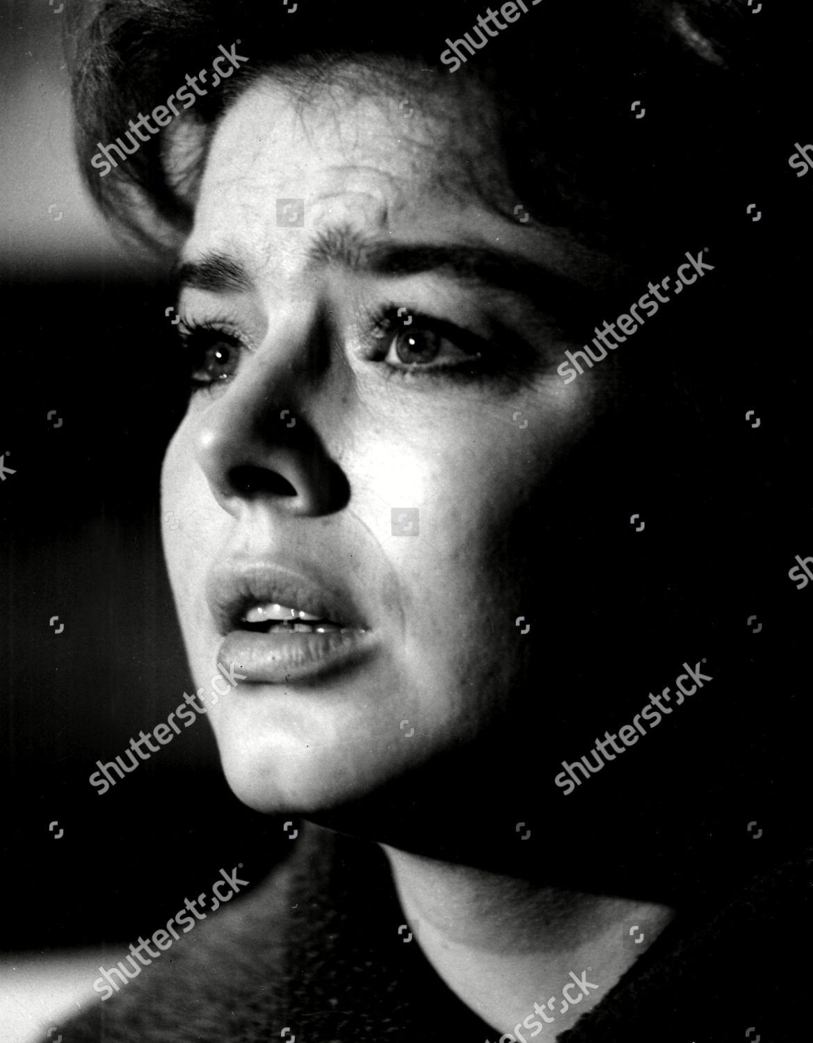 'LIFE RUTH' - JANET MUNRO Editorial Stock Photo - Stock Image ...