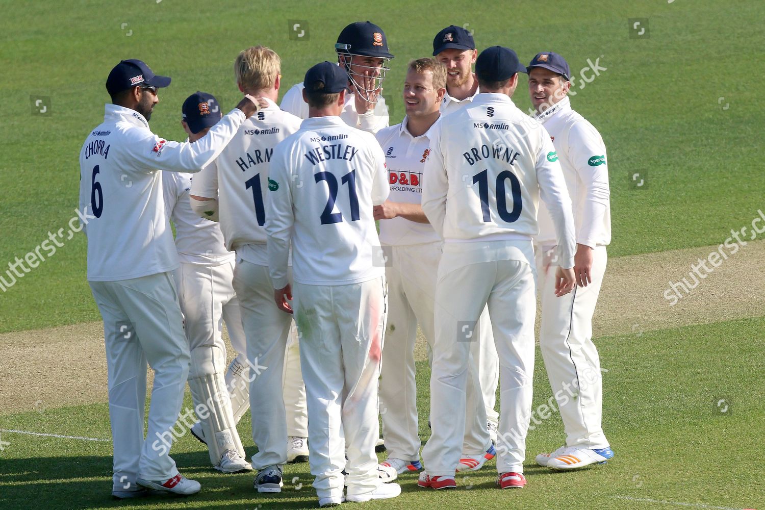 Neil Wagner Essex Celebrates Taking Wicket Stephen Editorial Stock Photo Stock Image Shutterstock