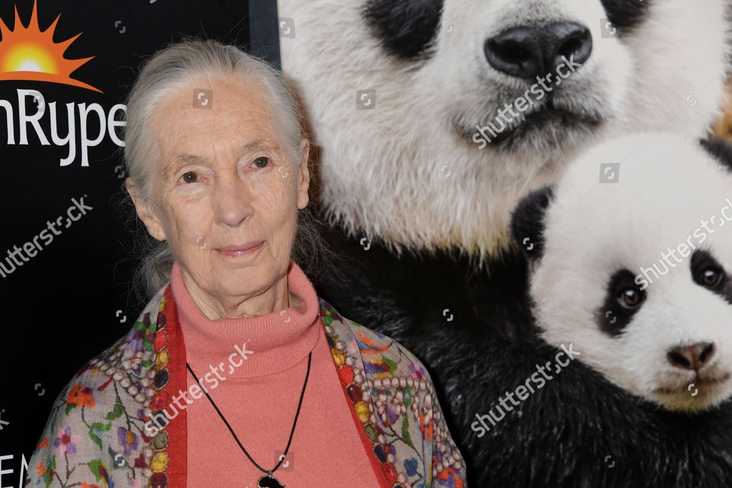 Jane Goodall Editorial Stock Photo - Stock Image | Shutterstock