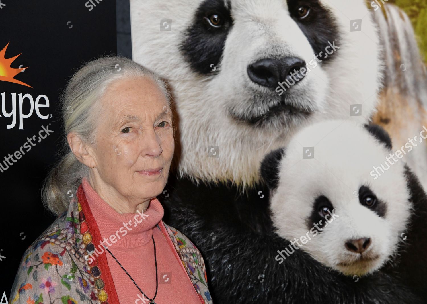 Jane Goodall Editorial Stock Photo - Stock Image | Shutterstock