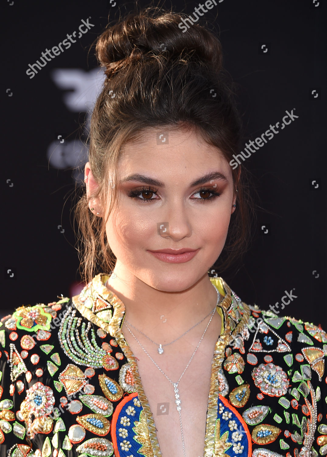 Ronni Hawk Editorial Stock Photo - Stock Image | Shutterstock