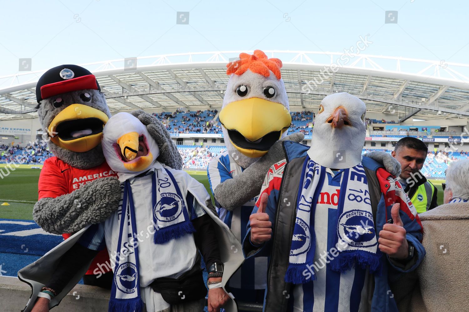 Brighton Fans Dressed Seagulls Mascots Sammy Editorial Stock Photo ...