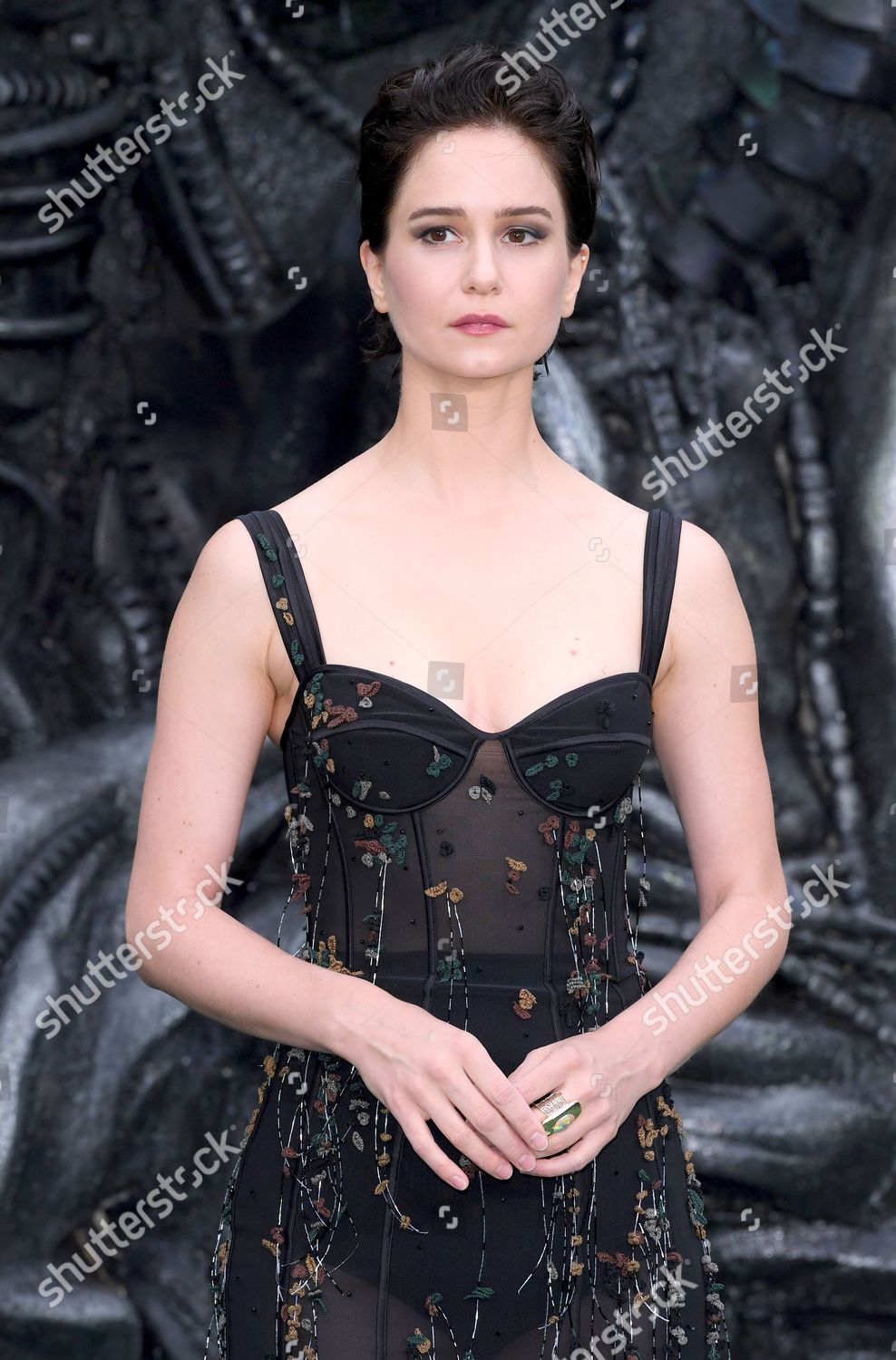 Katherine Waterston Editorial Stock Photo - Stock Image | Shutterstock