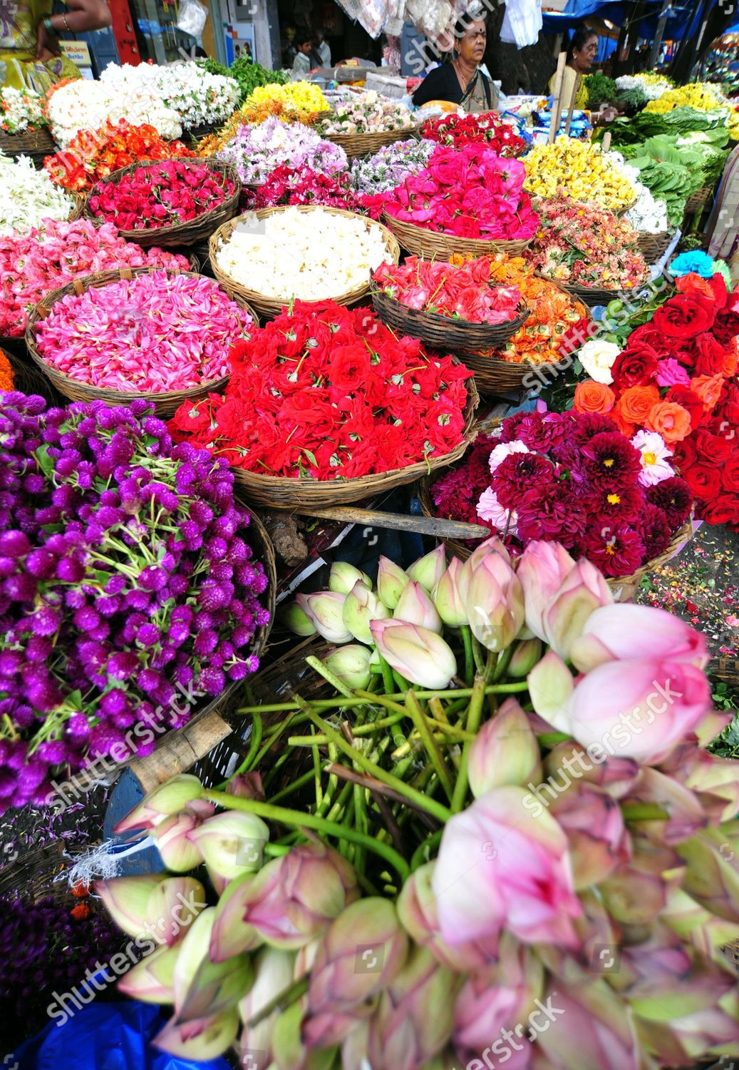 Indian Flower Vendor Sells Variety Flowers On 新闻传媒库存照片 库存图片 Shutterstock