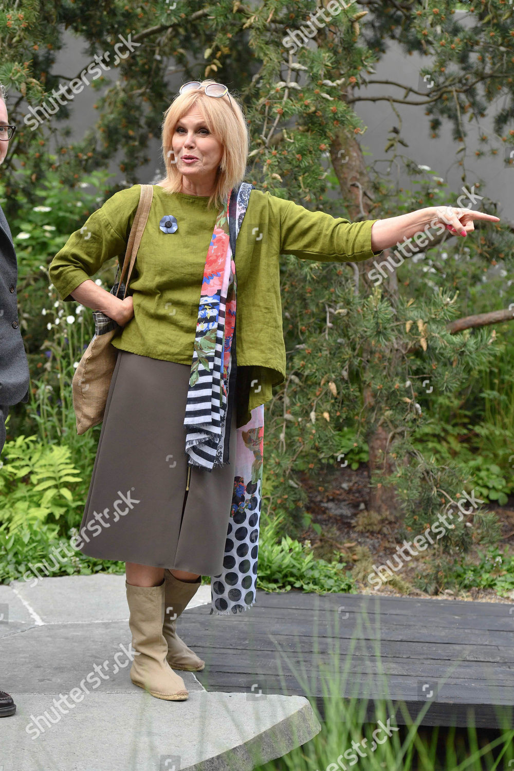 Joanna Lumley Editorial Stock Photo - Stock Image | Shutterstock