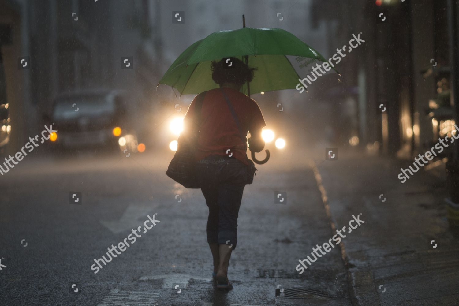 Woman Carries Umbrella Shelter Heavy Rains Hong Editorial Stock Photo Stock Image Shutterstock
