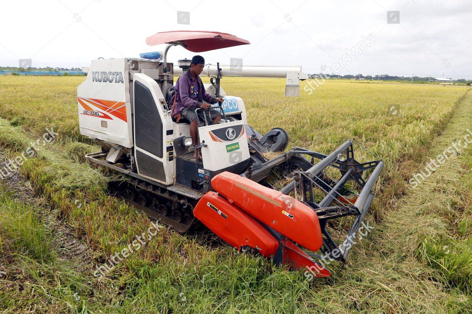 paddy harvester machine