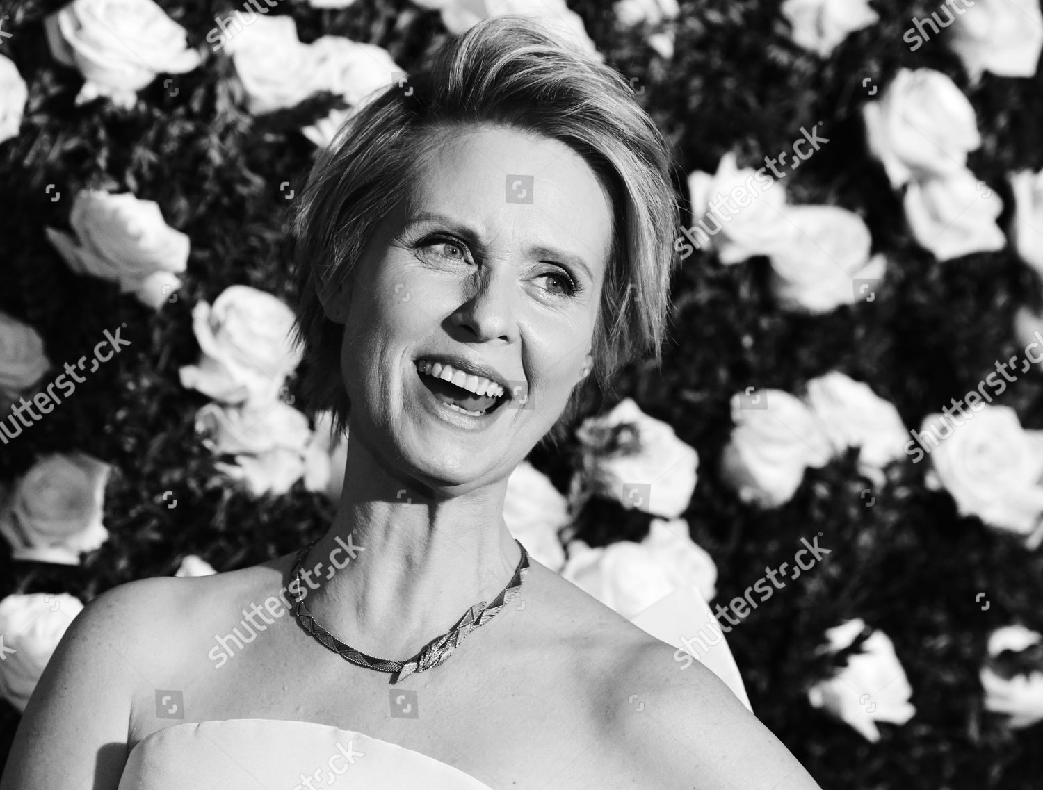 Cynthia Nixon Editorial Stock Photo - Stock Image | Shutterstock