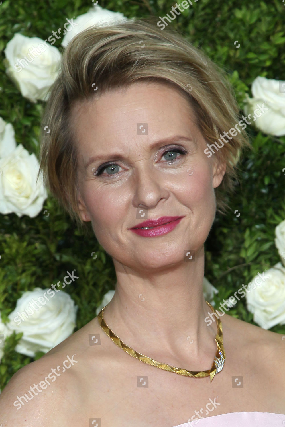 Cynthia Nixon Editorial Stock Photo - Stock Image | Shutterstock