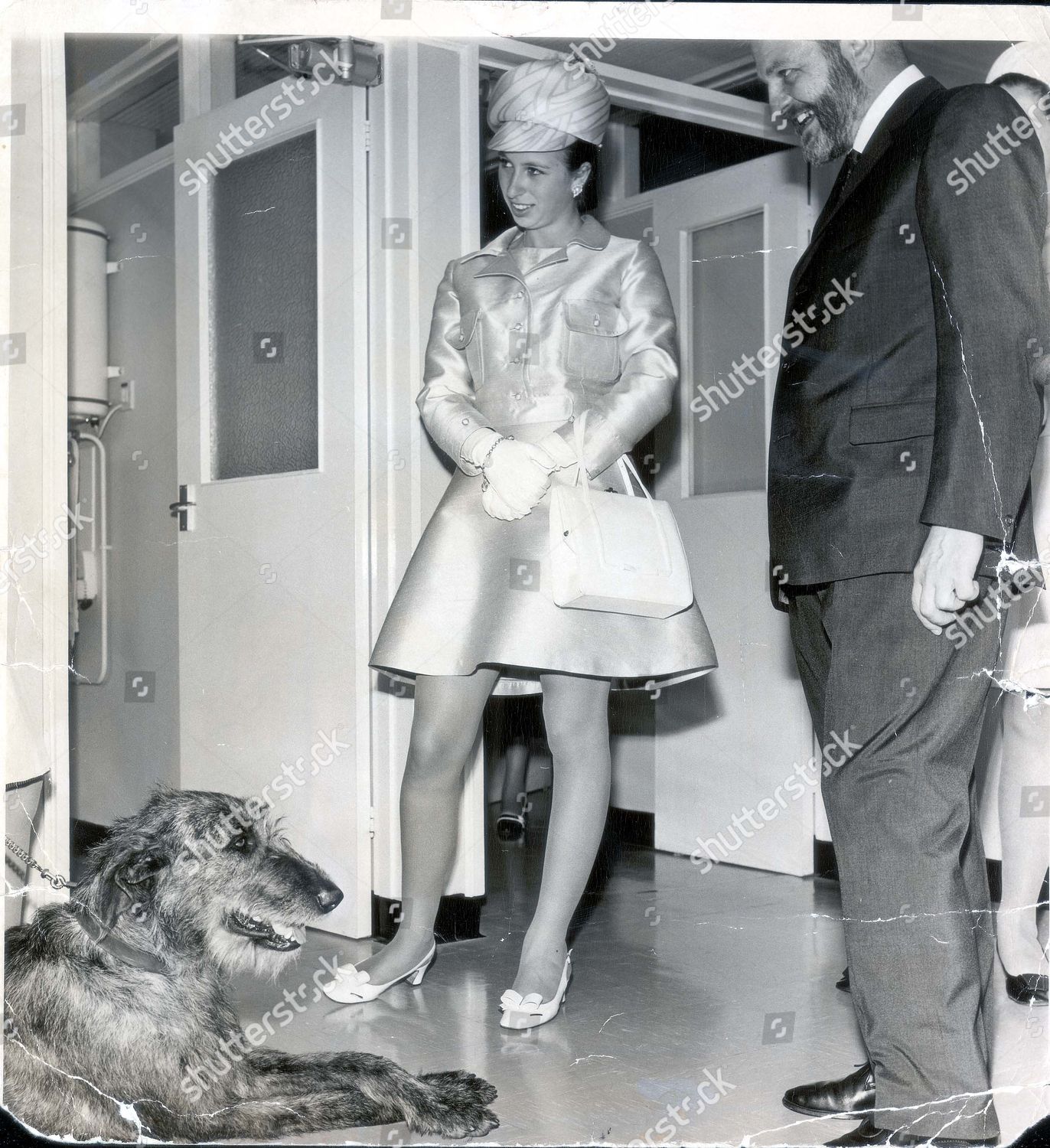 princess-anne-now-princess-royal-july-1969-princess-anne-touring-the-animal-centre-honey-the-irih-wolfhound-who-has-given-60-pints-of-blood-for-other-dogs-met-princess-anne-yesterday-honey-sat-down-and-gravely-offered-a-paw-the-left-one-princess-shutterstock-editorial-891858a.jpg