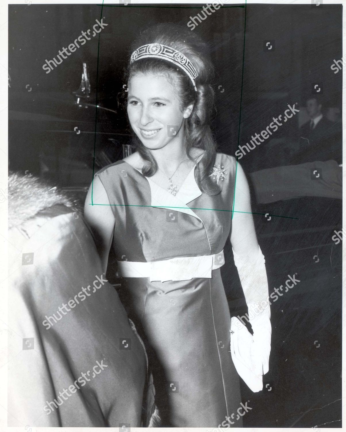princess-anne-now-princess-royal-1970-picture-shows-princess-anne-weaing-a-full-length-green-dress-for-the-bicentenary-banquet-of-the-spode-porcelain-company-at-goldsmiths-hall-in-the-city-of-london-shutterstock-editorial-892383a.jpg
