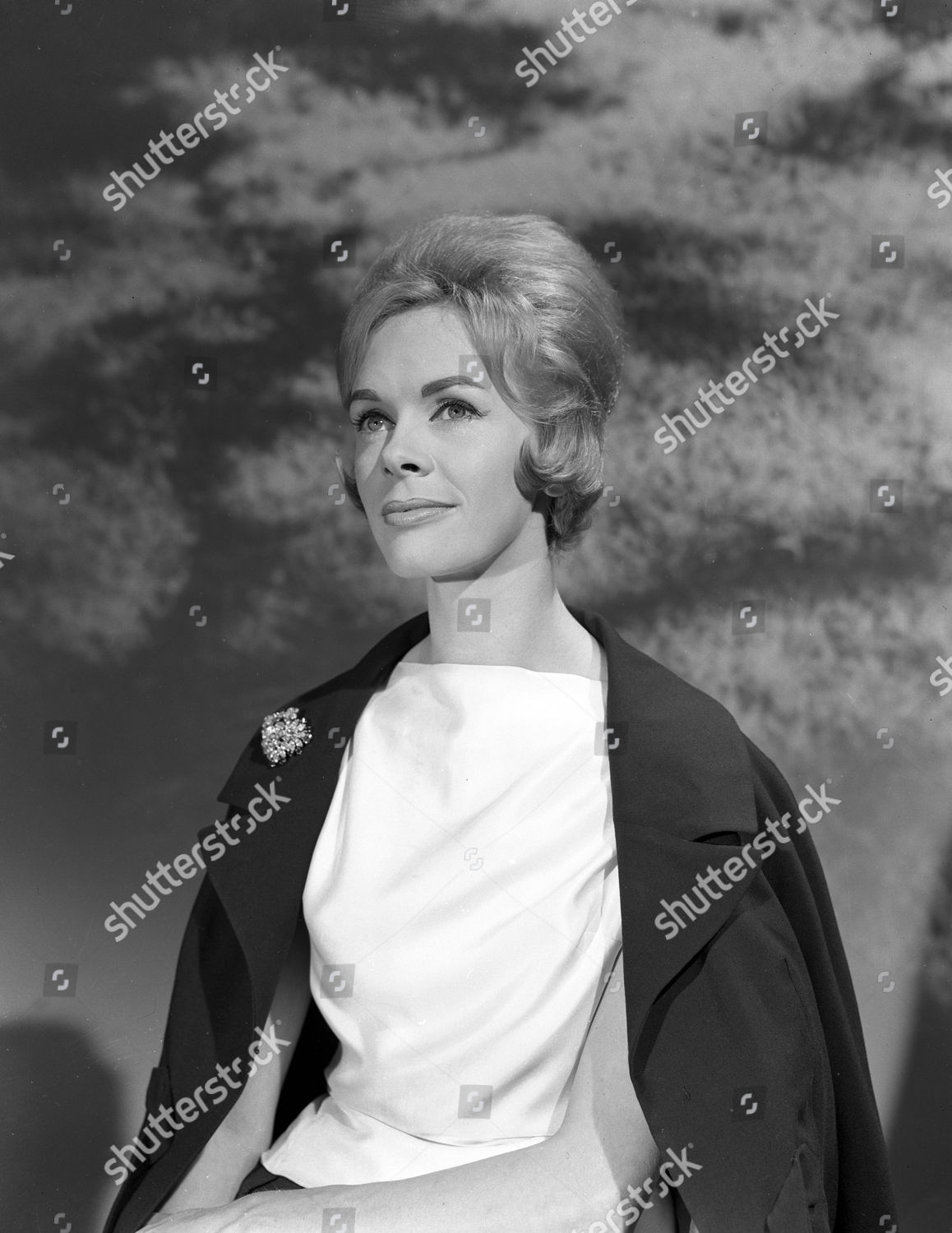 Pencil Paper Gwynneth Tighe Editorial Stock Photo - Stock Image ...