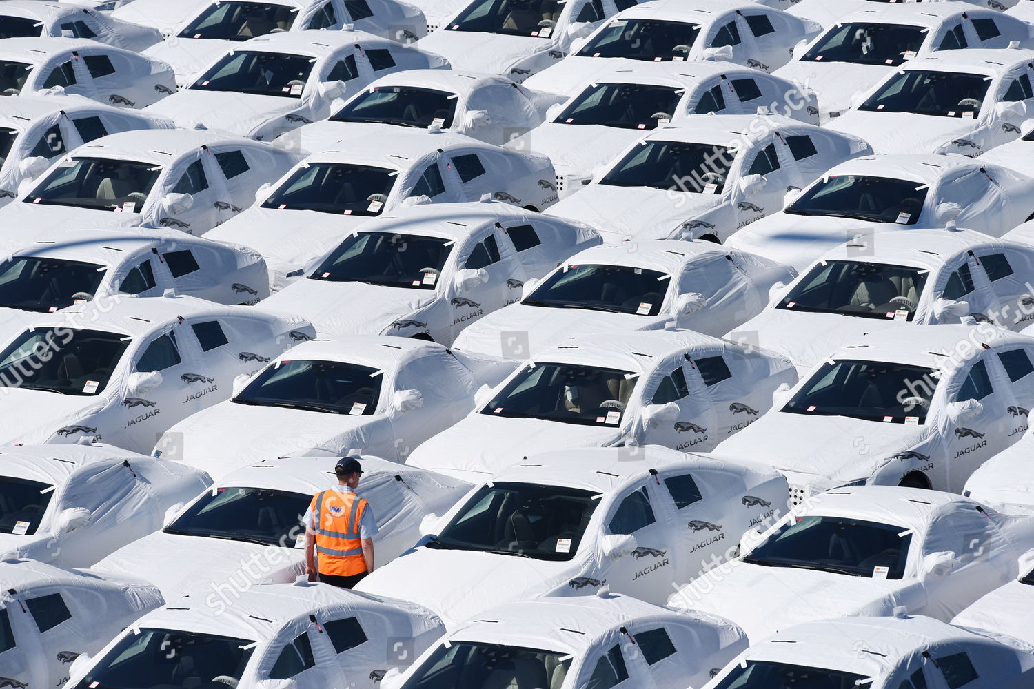 New Cars Covered White Protective Material Inspected Editorial