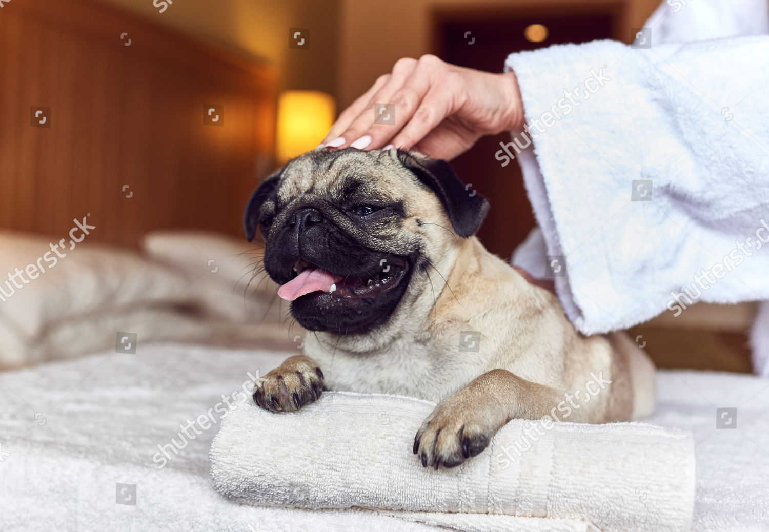 pug spa