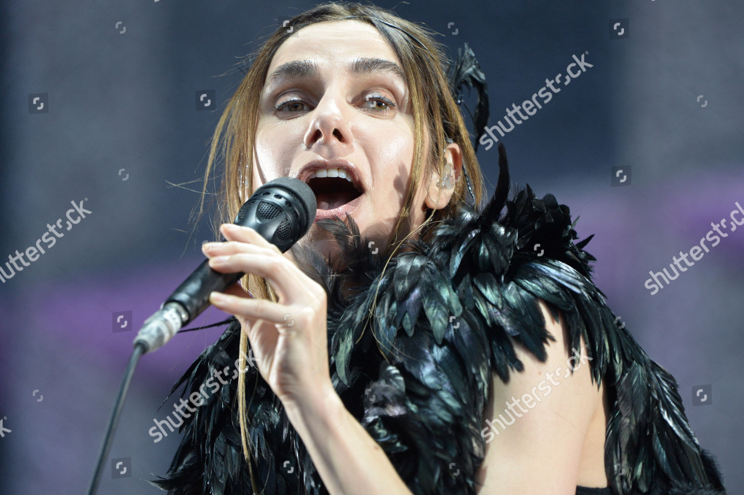 Pj Harvey Editorial Stock Photo - Stock Image | Shutterstock