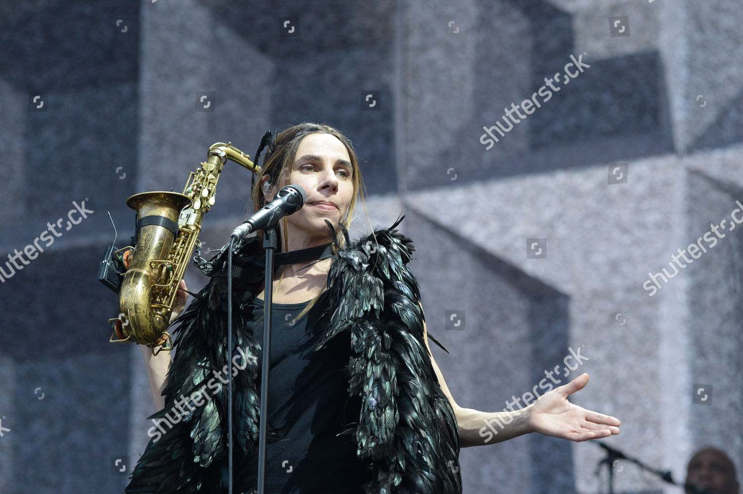 Pj Harvey Editorial Stock Photo - Stock Image | Shutterstock