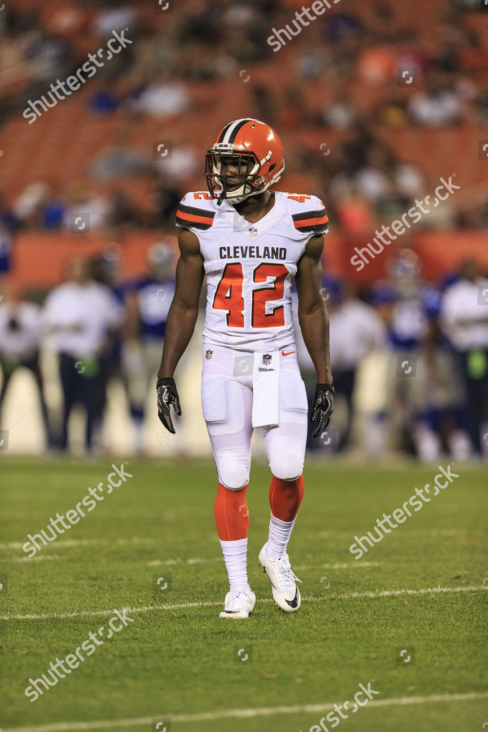 Cleveland Browns Cornerback Alvin Hill 42 Editorial Stock Photo - Stock  Image