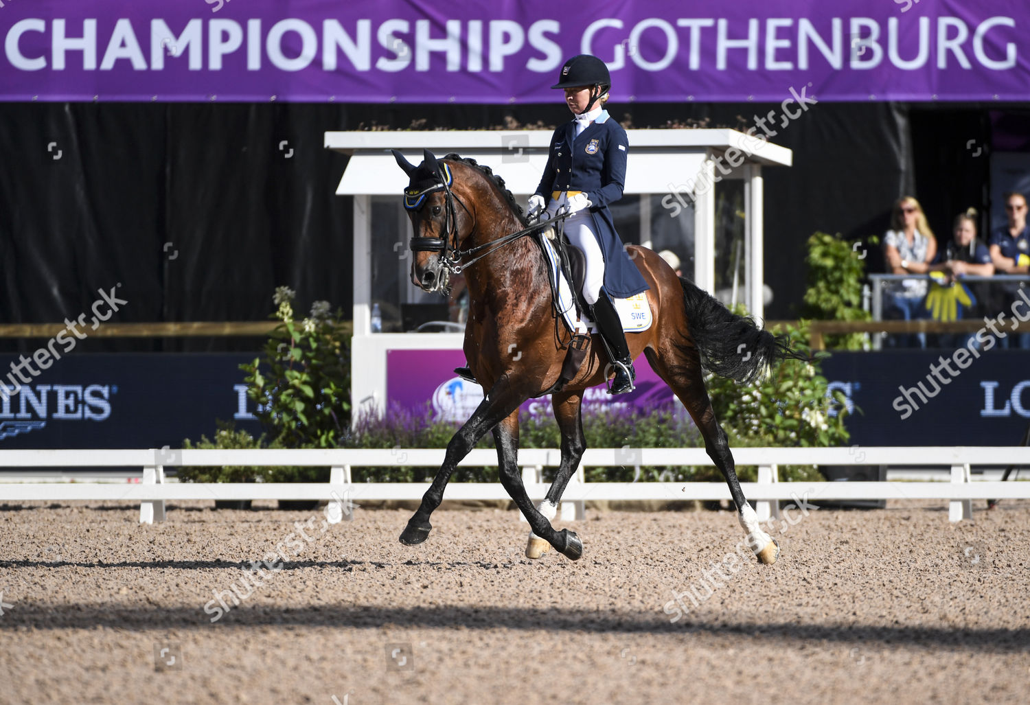 Rose Mathisen Sweden Rides Her Horse Editorial Stock Photo Stock