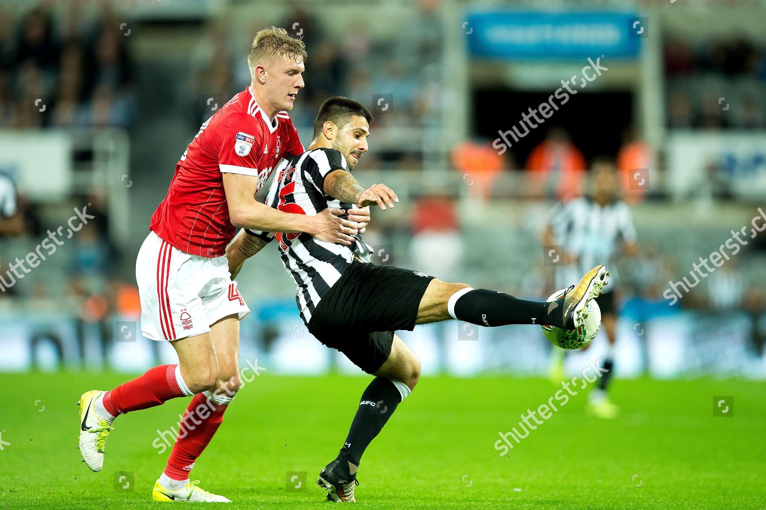 Newcastle United Forward Aleksandar Mitrovic 45 Editorial Stock Photo ...