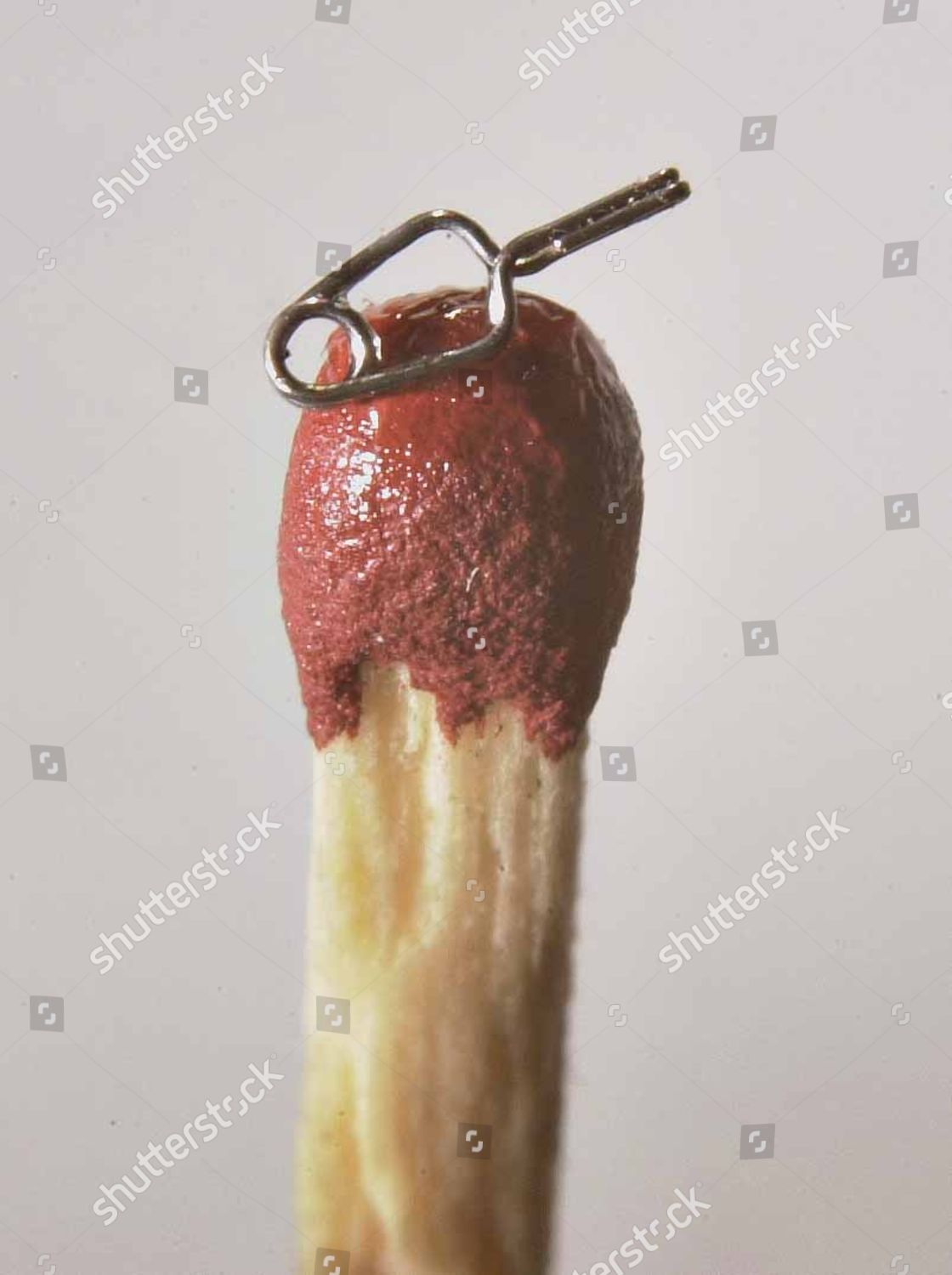 Bijlage Oneindigheid Thuisland Balanced On Match Head Tiny Micro Vascular Editorial Stock Photo - Stock  Image | Shutterstock