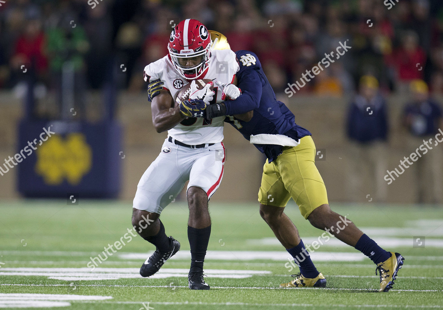 Georgia Tight End Miles Mcginty 87 Editorial Stock Photo - Stock Image ...