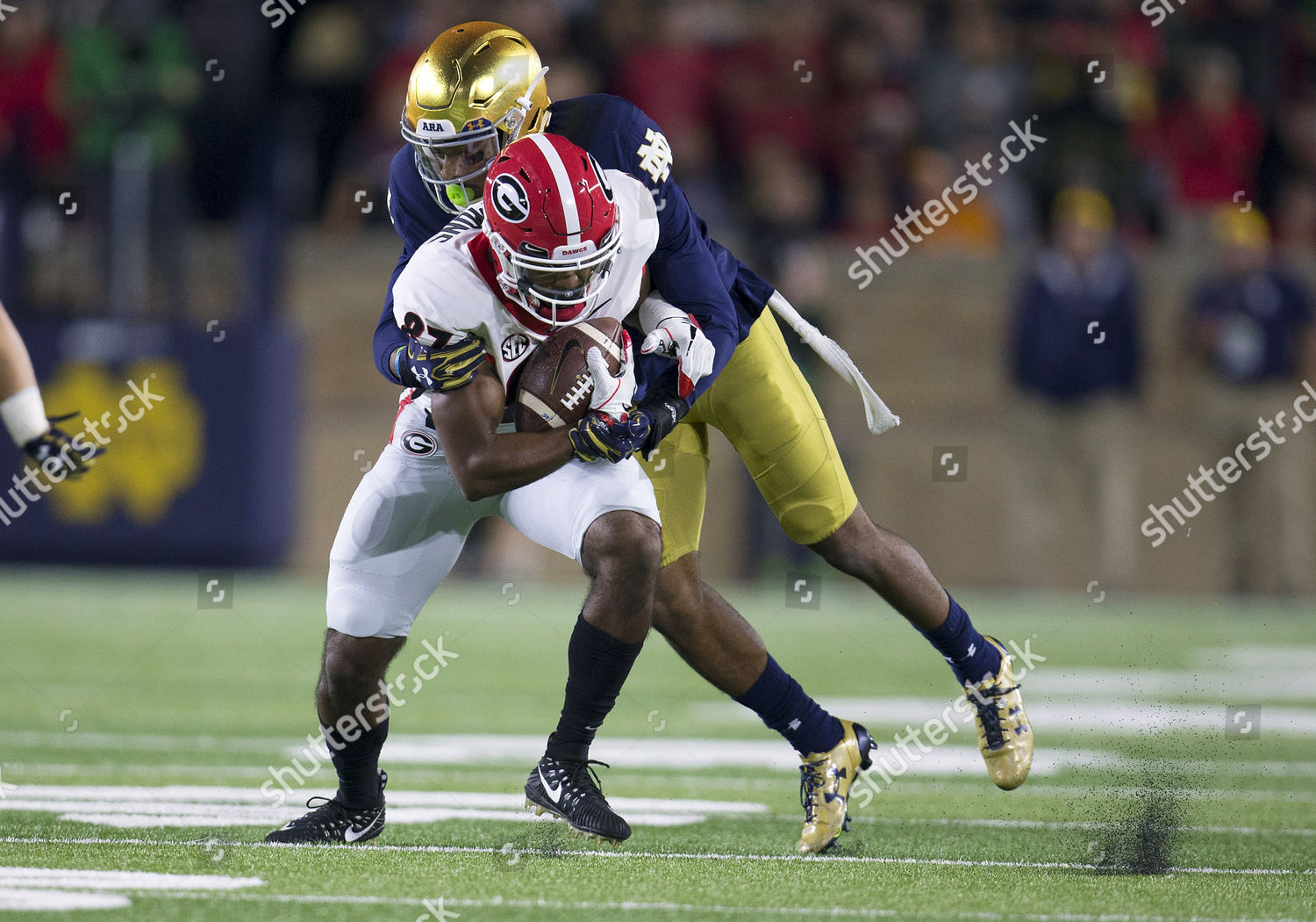 Georgia Tight End Miles Mcginty 87 Editorial Stock Photo - Stock Image ...