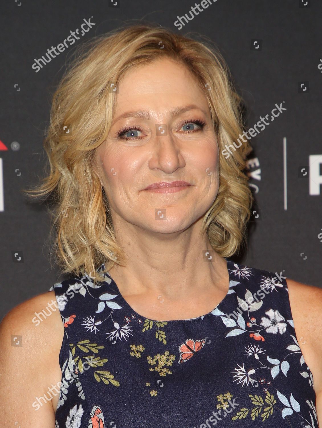 Edie Falco Editorial Stock Photo - Stock Image | Shutterstock