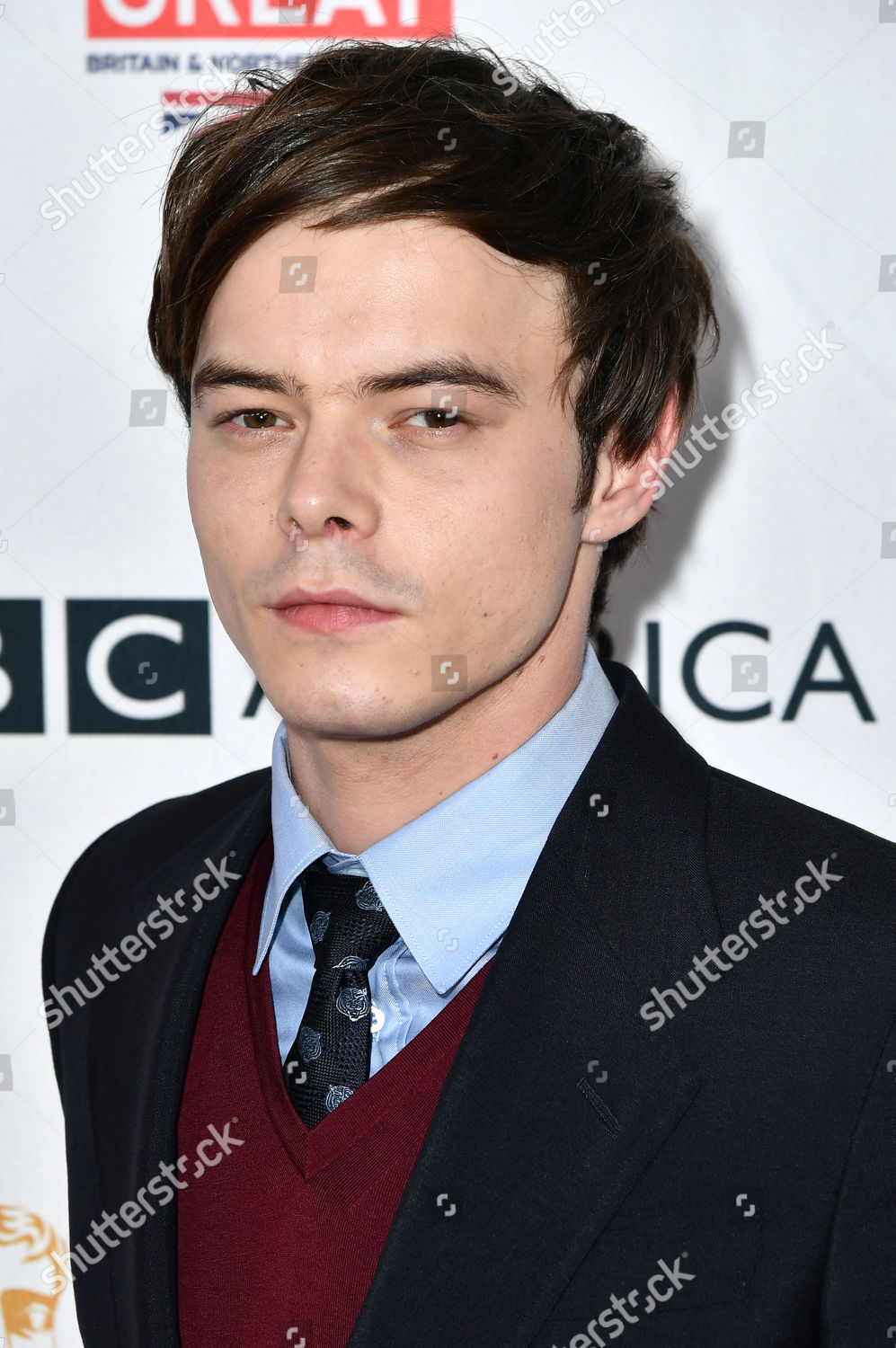 Charlie Heaton Editorial Stock Photo - Stock Image | Shutterstock
