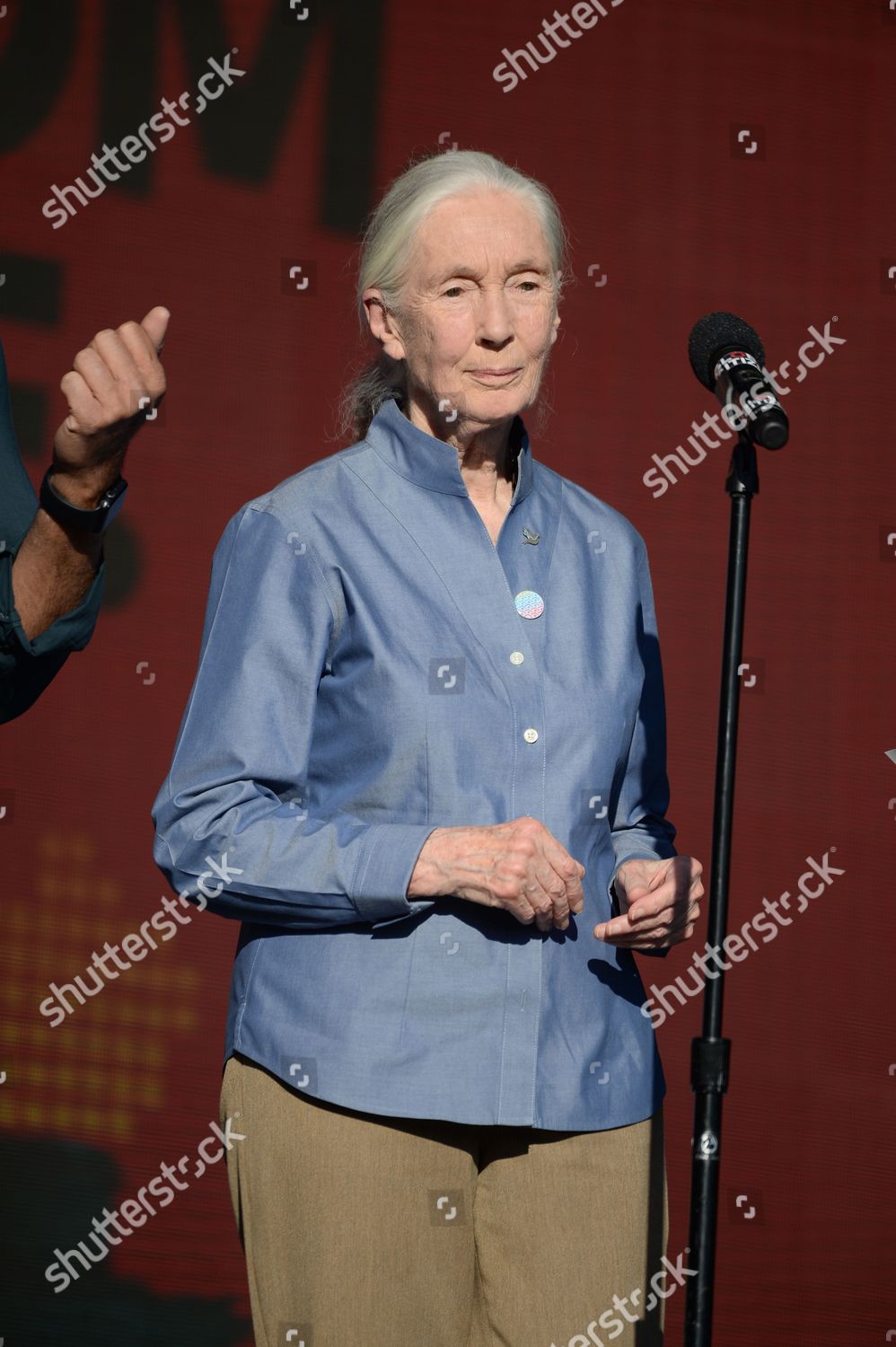 Jane Goodall Editorial Stock Photo - Stock Image | Shutterstock