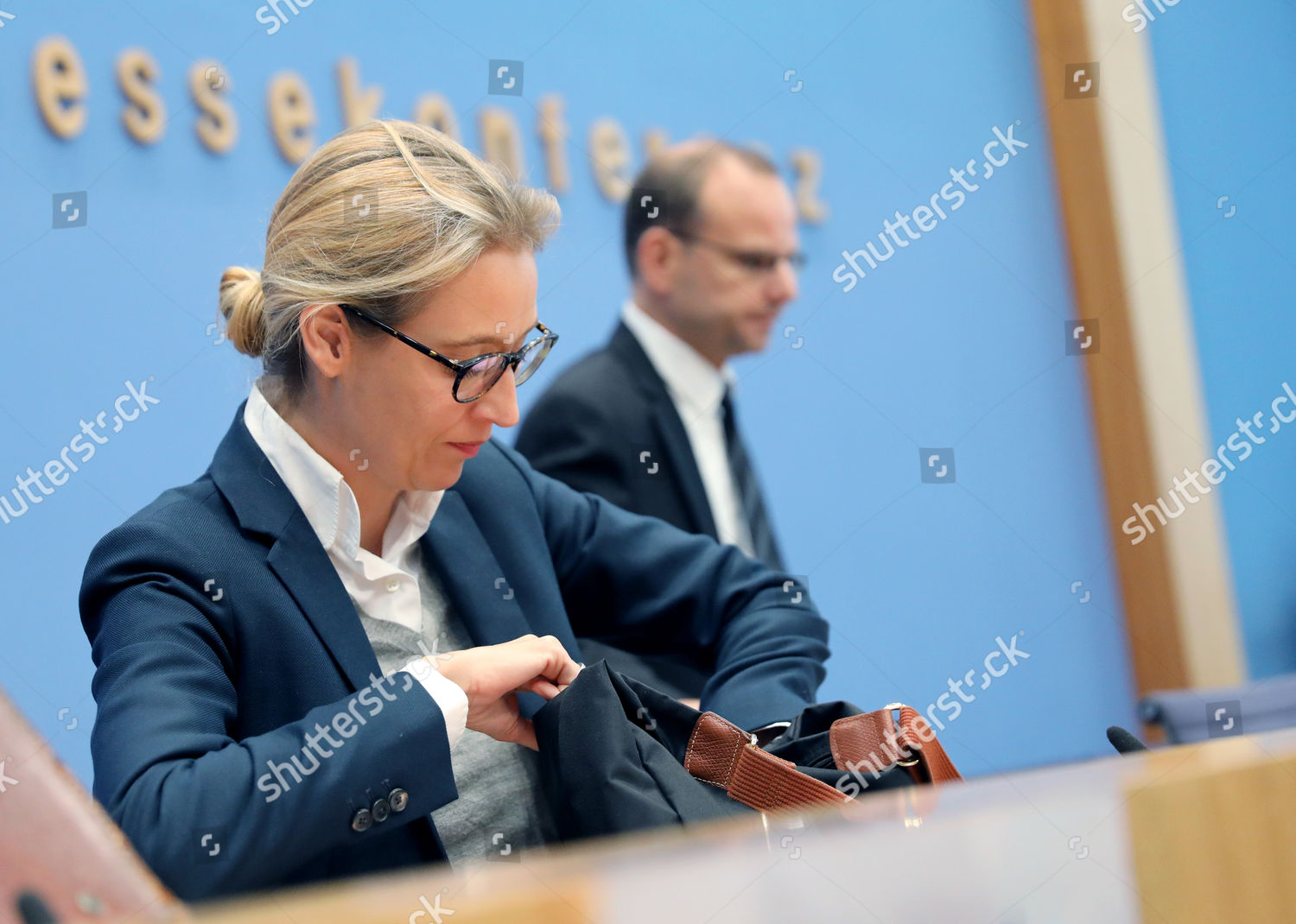 Alice Weidel Editorial Stock Photo - Stock Image 