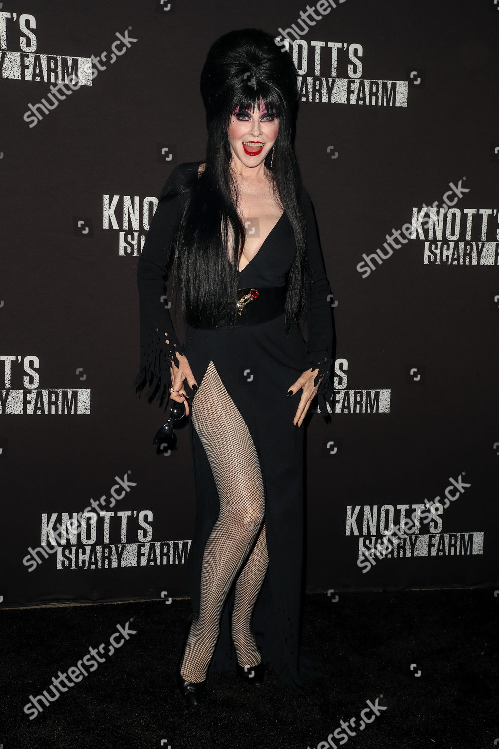 Cassandra Peterson Elvira Editorial Stock Photo - Stock Image
