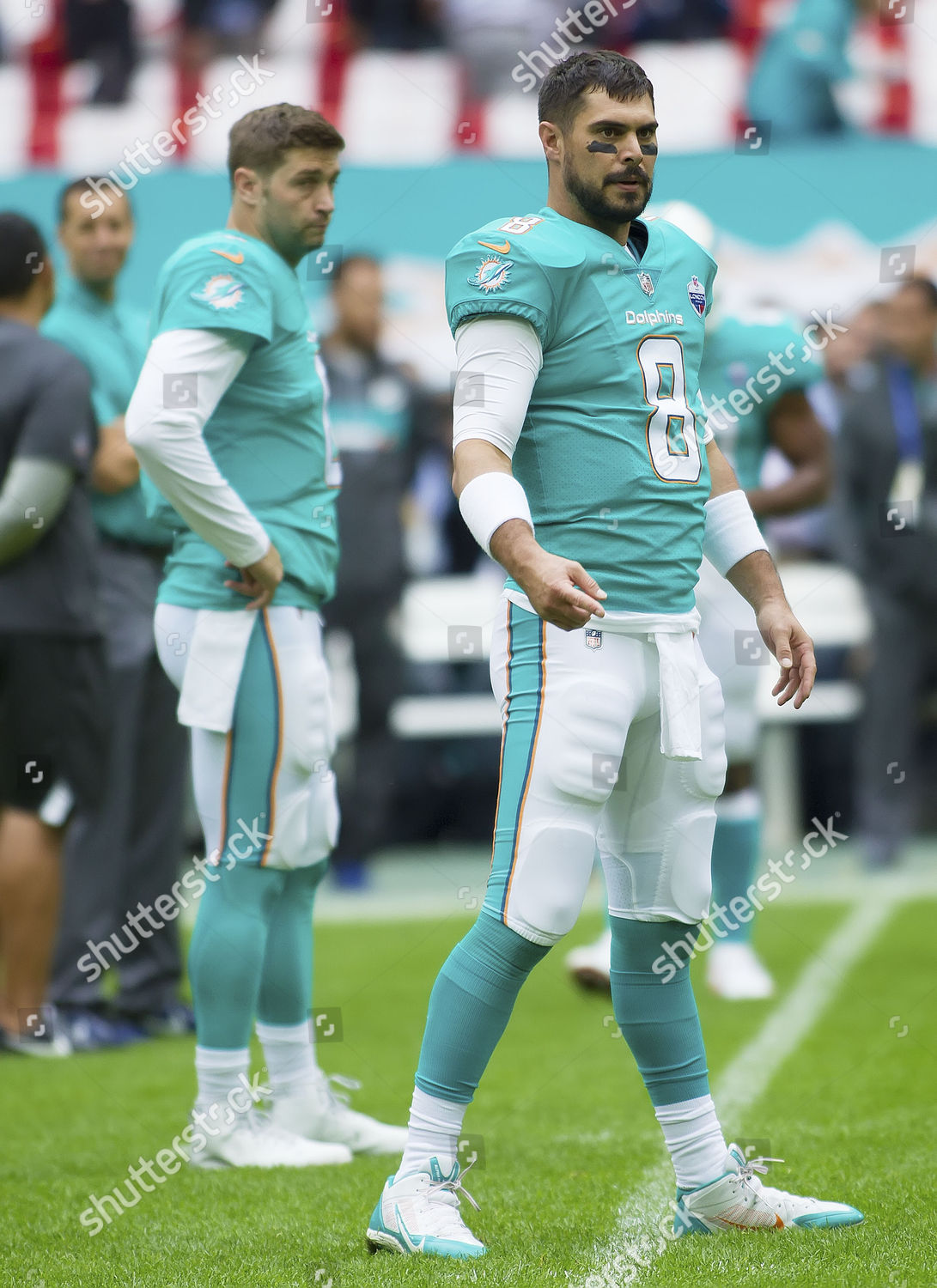 Miami Dolphins Quarterback Matt Moore 8 Editorial Stock Photo - Stock Image