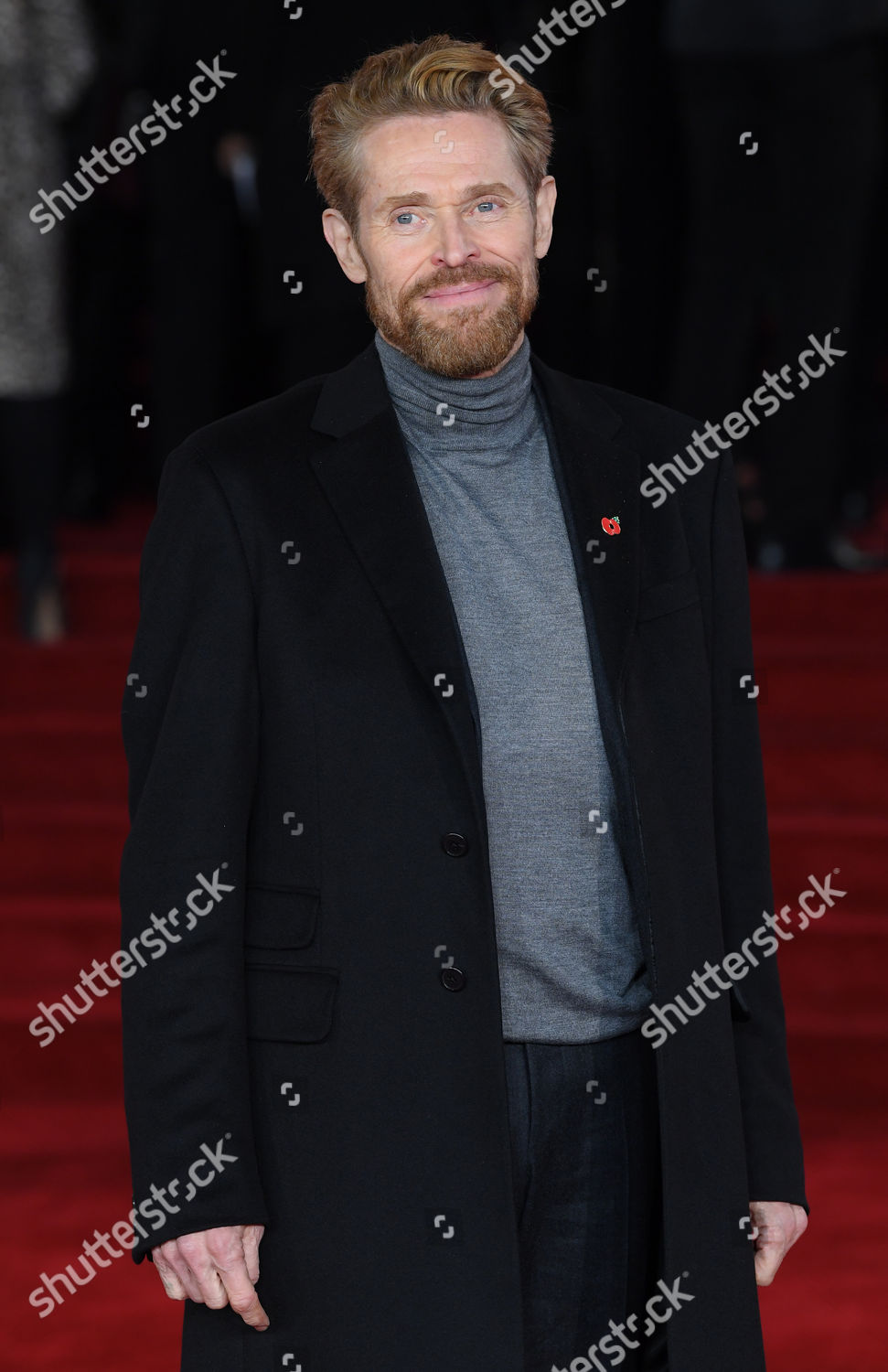 Willem Dafoe Editorial Stock Photo - Stock Image | Shutterstock