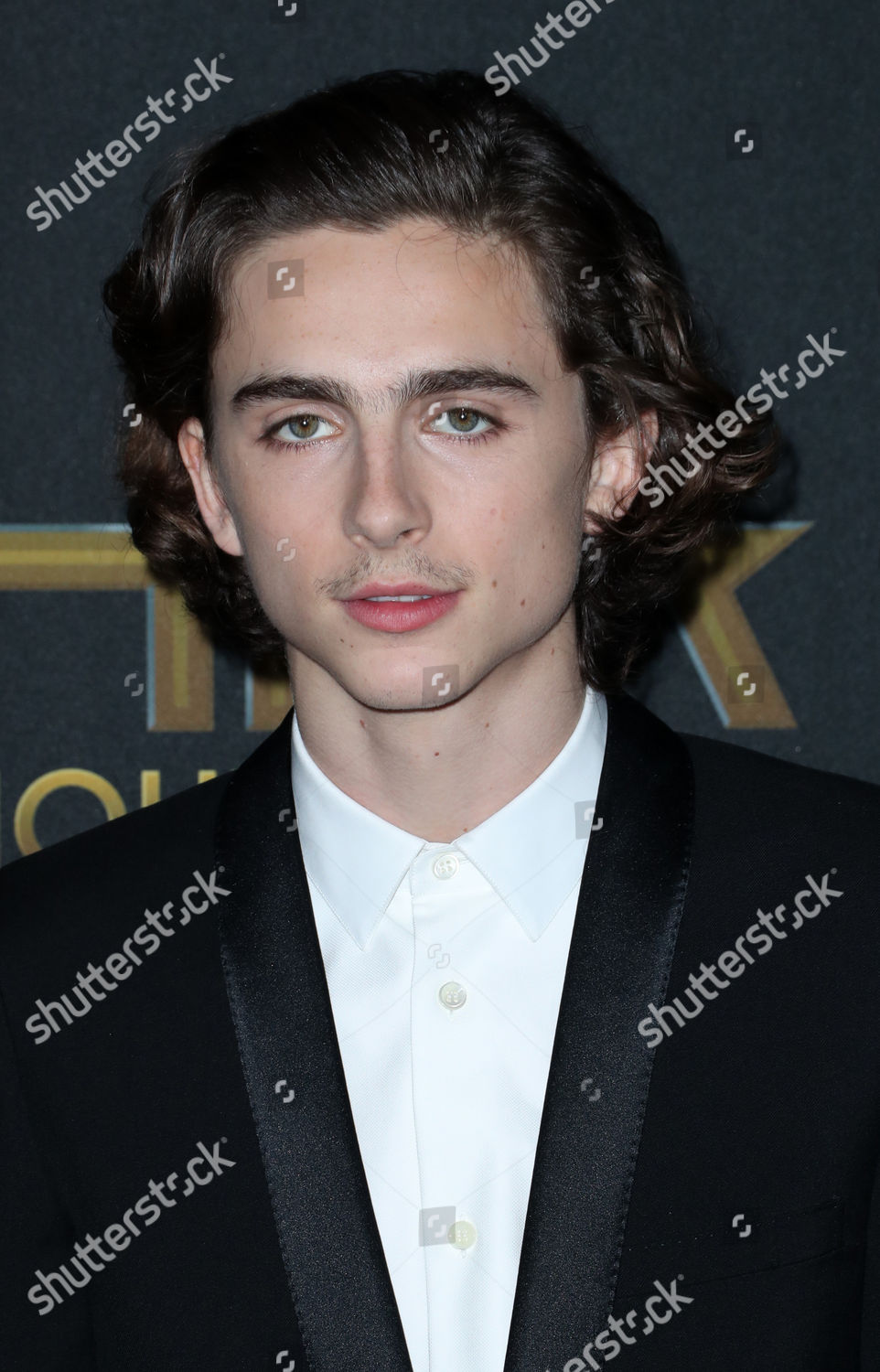 Timothee Chalamet Editorial Stock Photo - Stock Image | Shutterstock