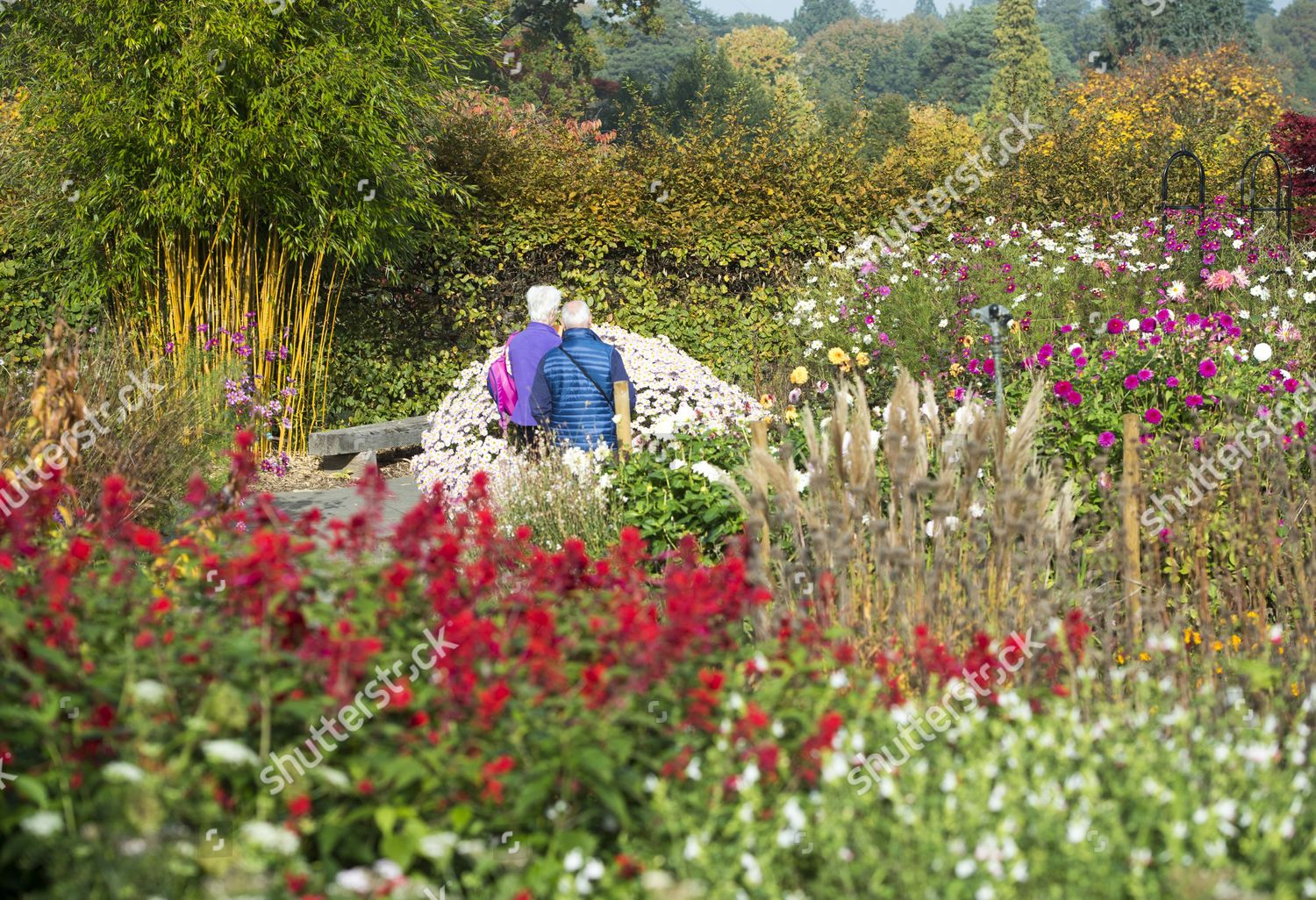 Visitors Wisley Gardens Surrey Enjoying Autumn Colours