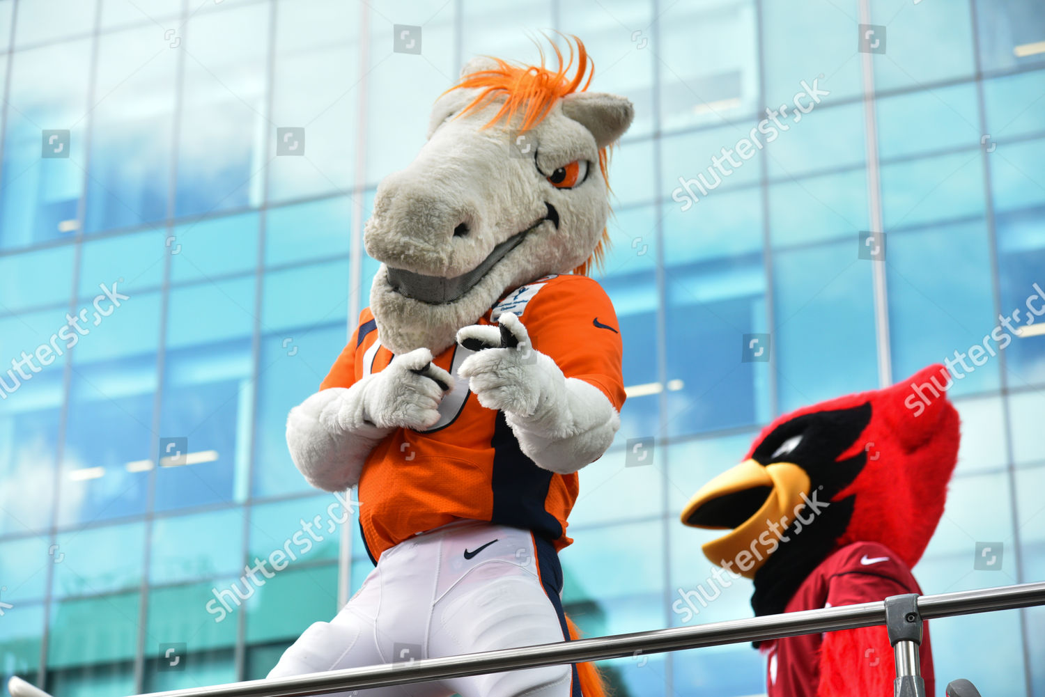 Mascots National Football League Nfl Ride Editorial Stock Photo - Stock  Image