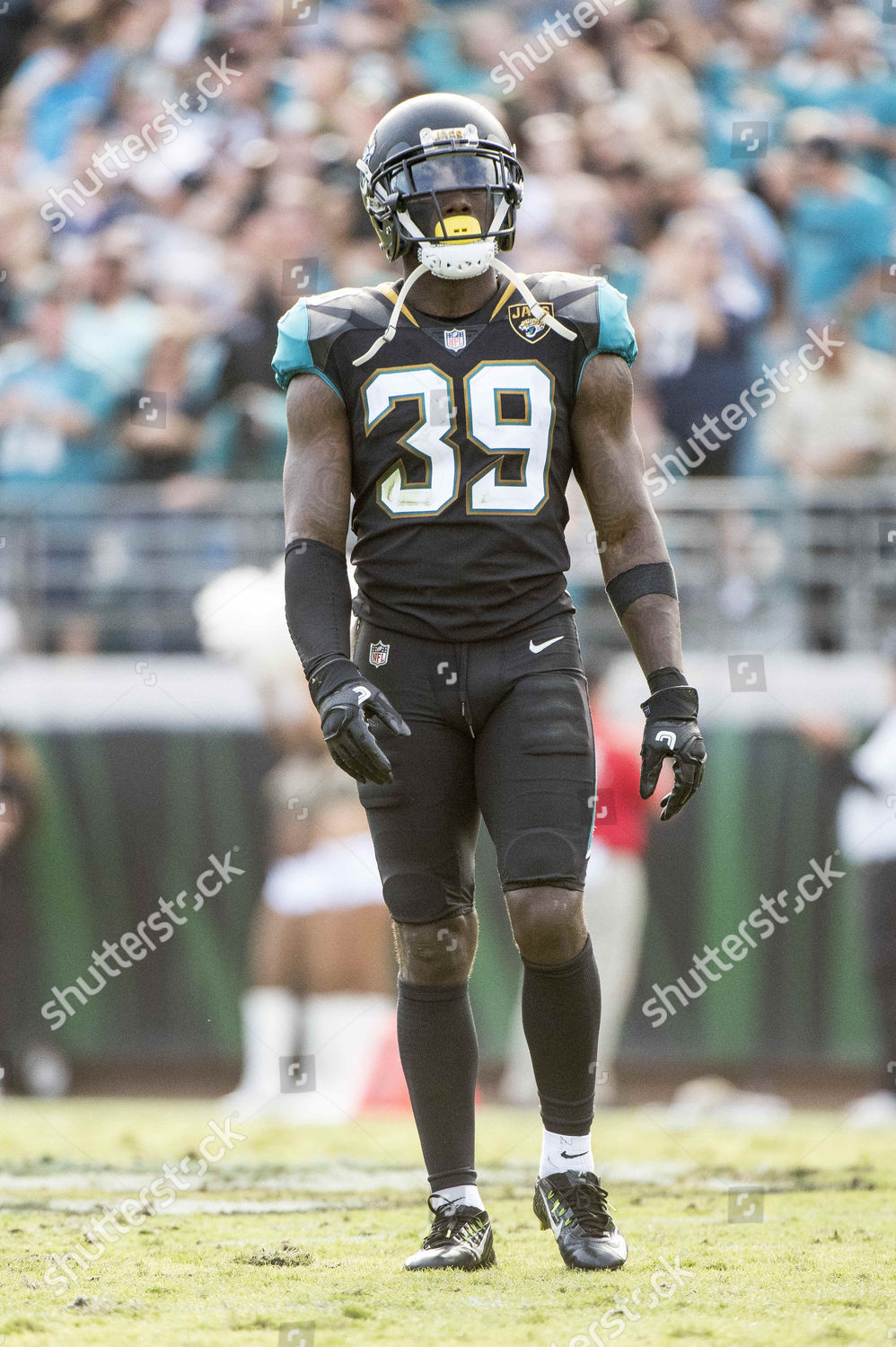 Jacksonville Fl Us Jacksonville Jaguars Free Safety Editorial Stock Photo Stock Image Shutterstock