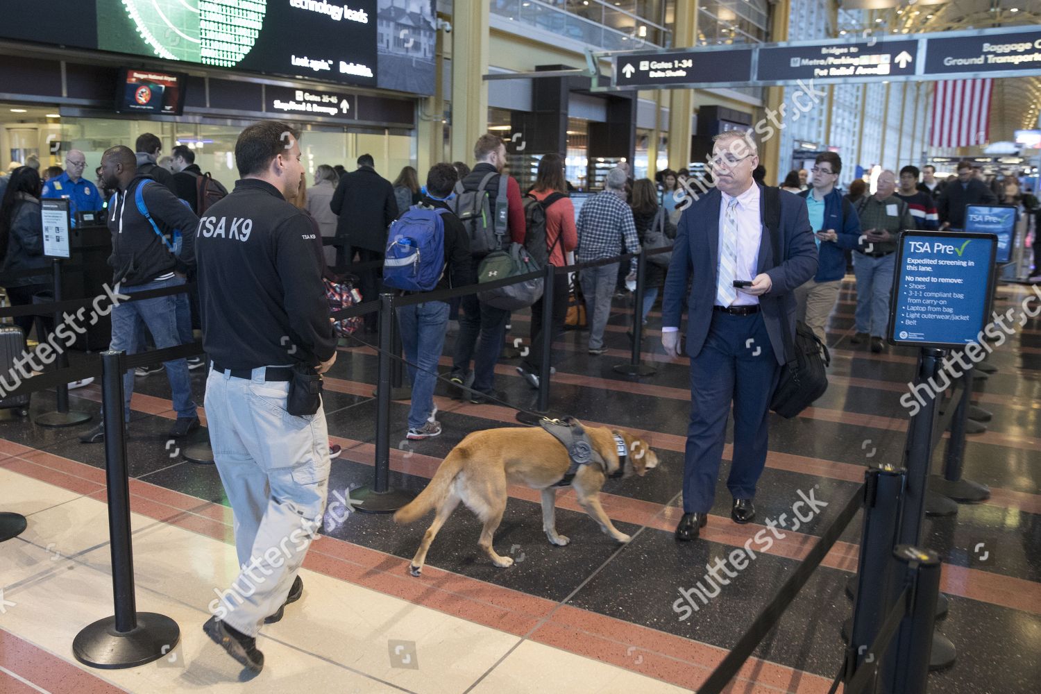 Transportation Security Administration Tsa K9 Handler Checks Editorial Stock Photo Stock Image Shutterstock https www shutterstock com editorial image editorial thanksgiving travel at ronald reagan washington national airport in arlington virginia usa 22 nov 2017 9236788f