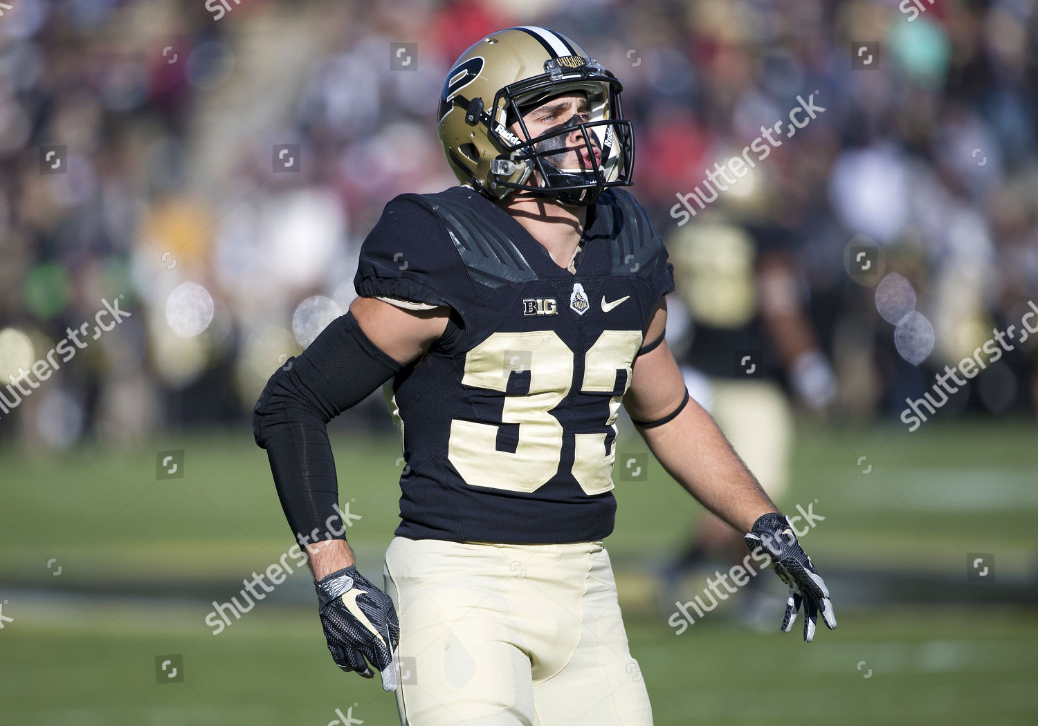 Purdue Wide Receiver Jackson Anthrop 33 Editorial Stock Photo - Stock ...