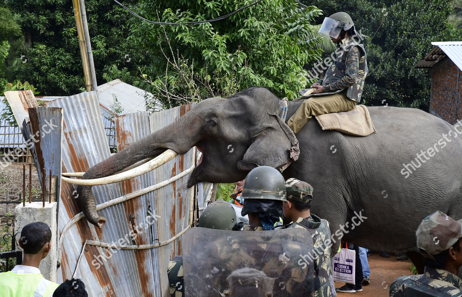 Soldiers Use Elephants Demolish Illegally Constructed Editorial Stock ...