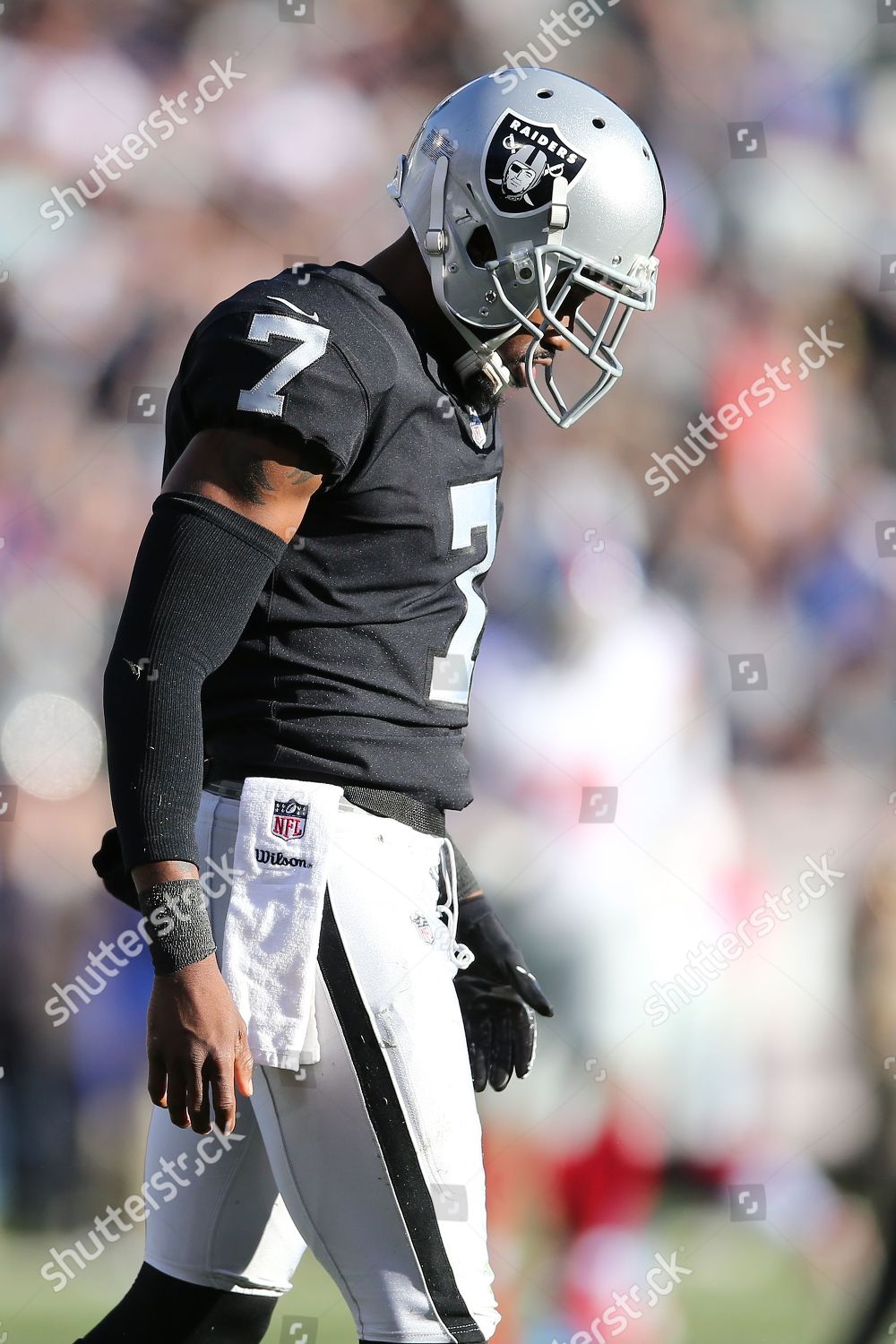 Oakland Raiders Punter Marquette King 7 Editorial Stock Photo - Stock Image